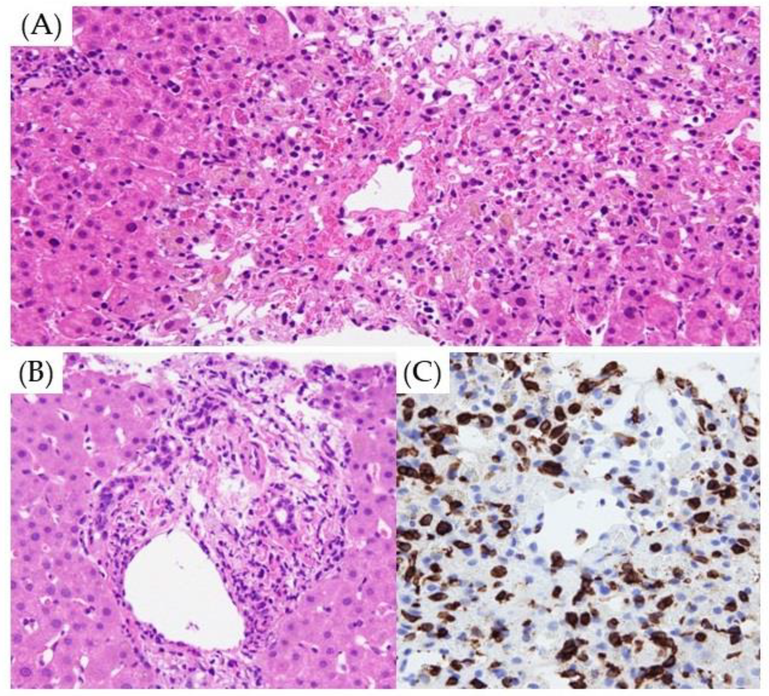 Diagnostics 14 00815 g004