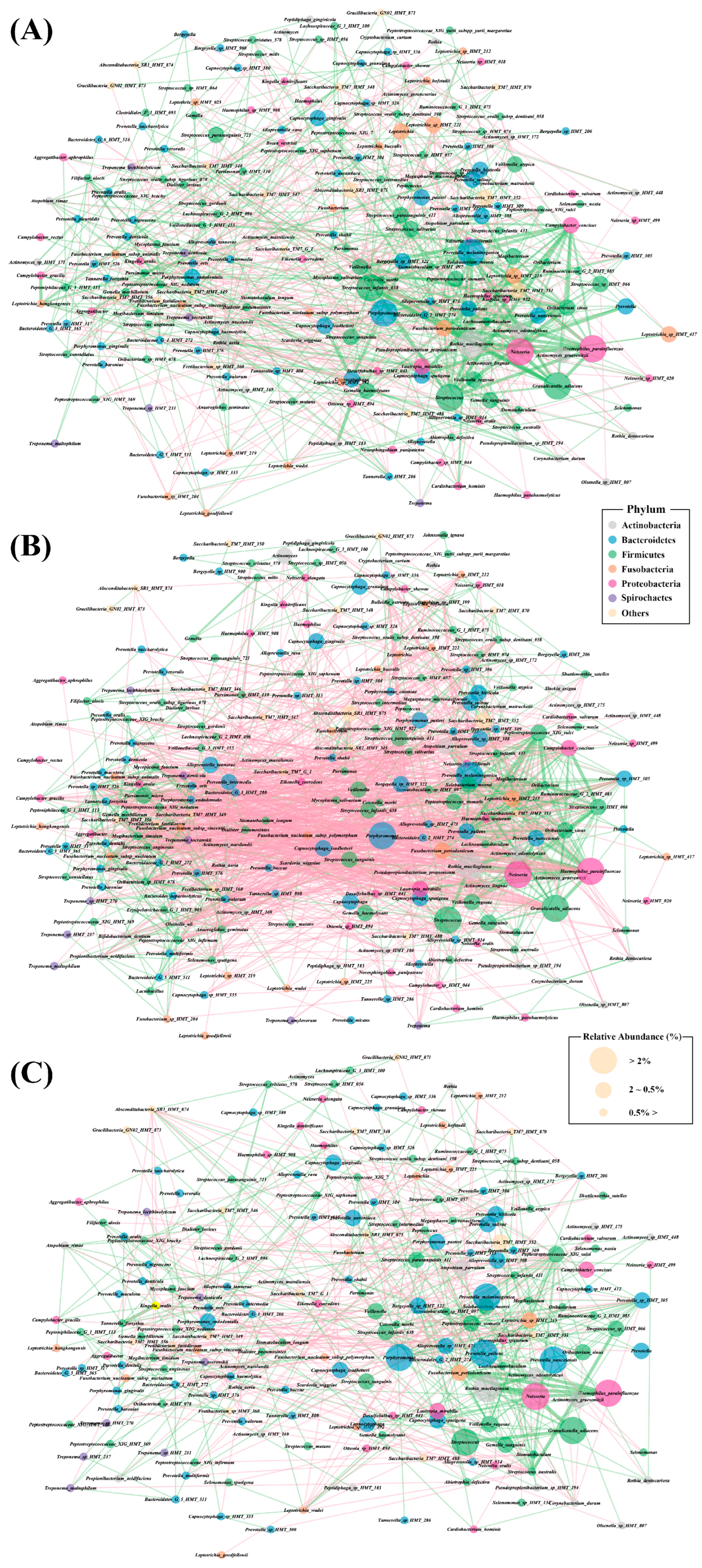 Diagnostics 14 00828 g005