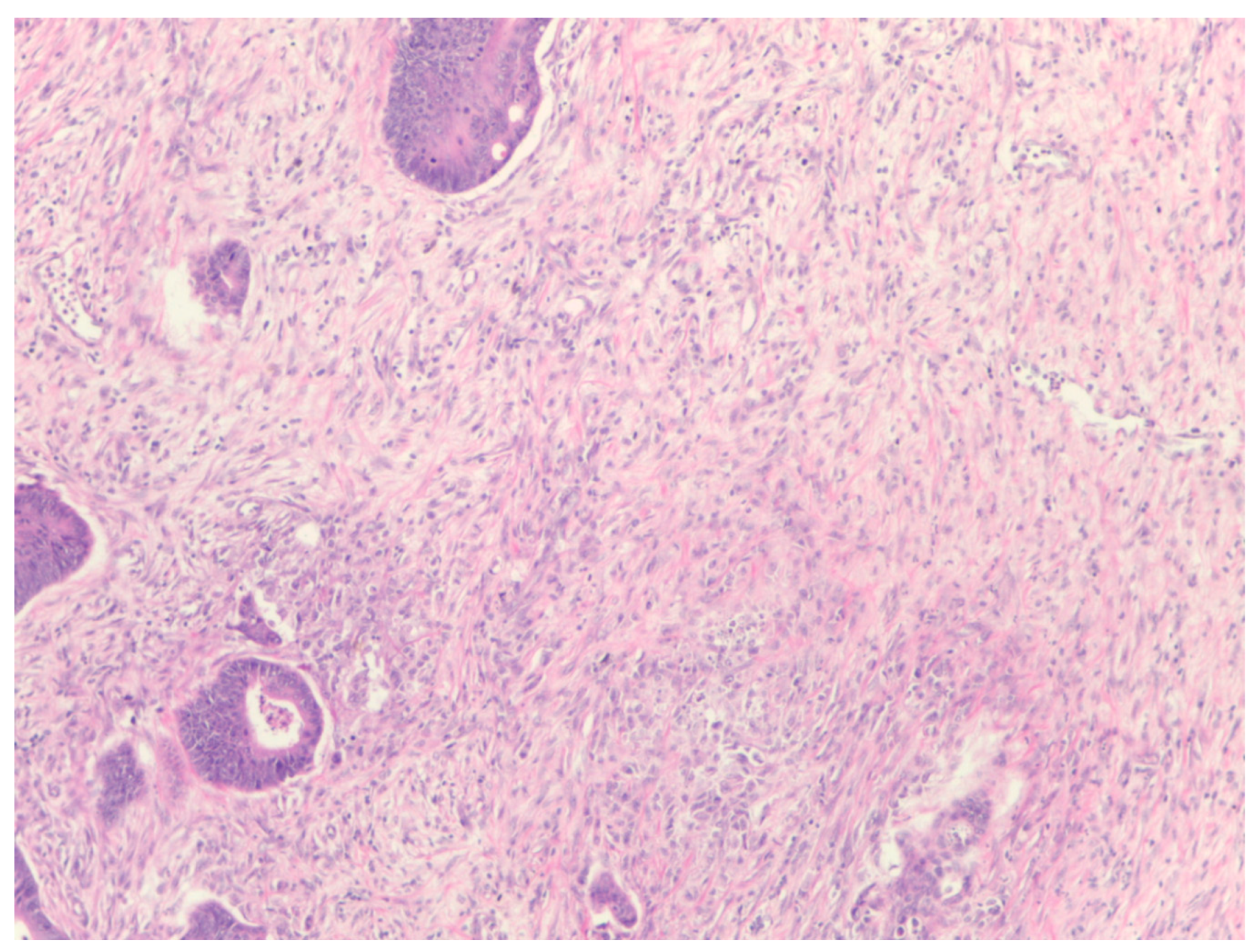 Diagnostics 14 00836 g003