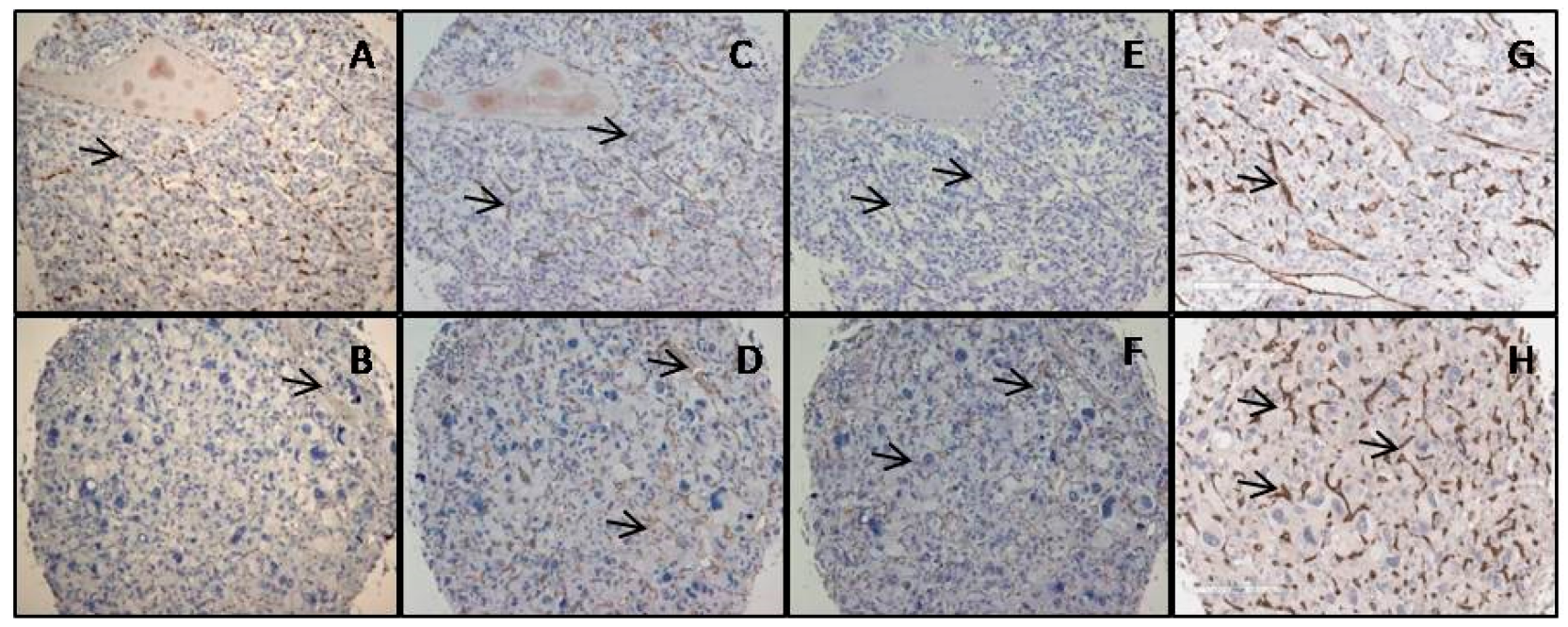 Diagnostics 14 00849 g002