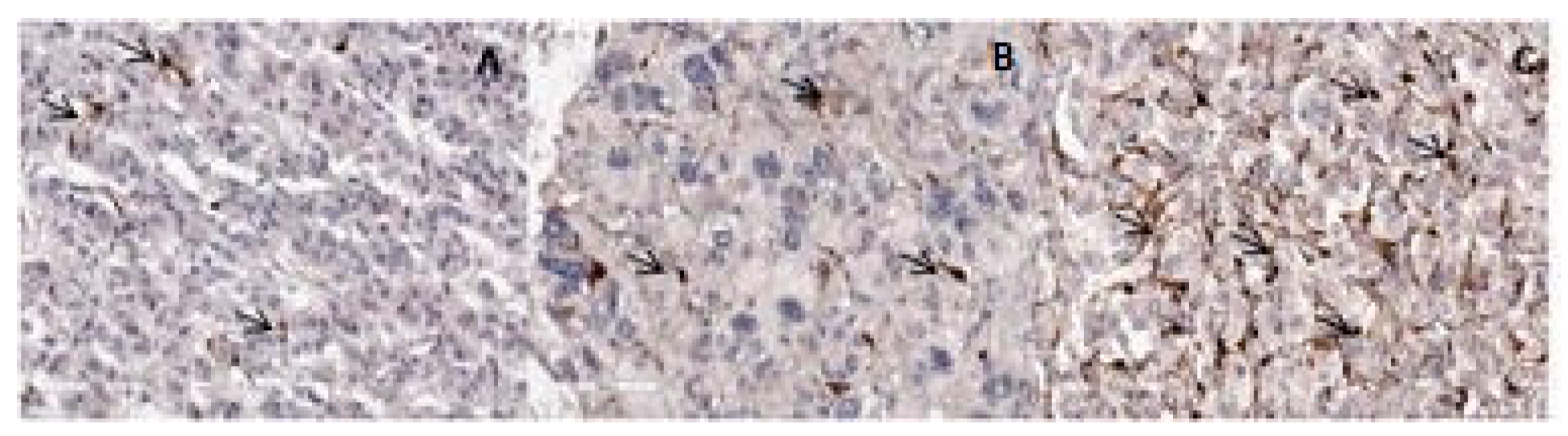 Diagnostics 14 00849 g003