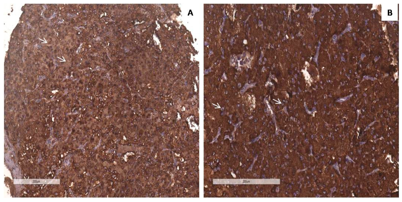 Diagnostics 14 00849 g007
