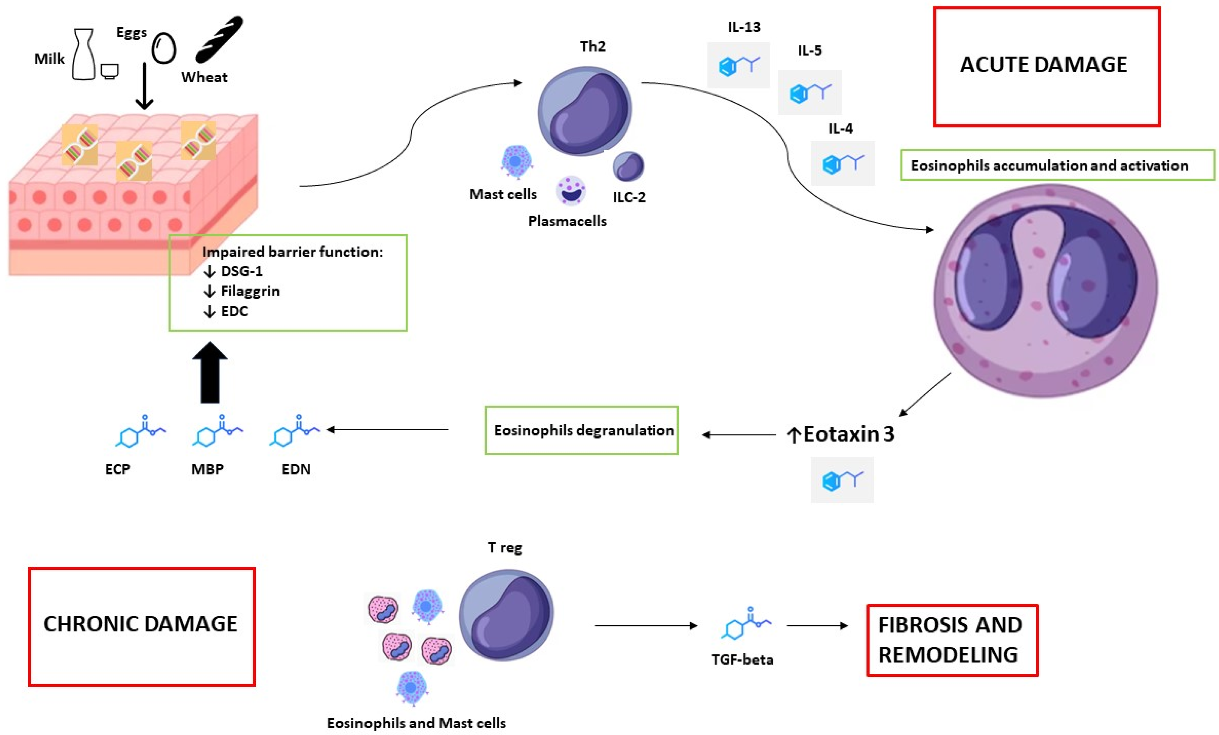 Diagnostics 14 00858 g001
