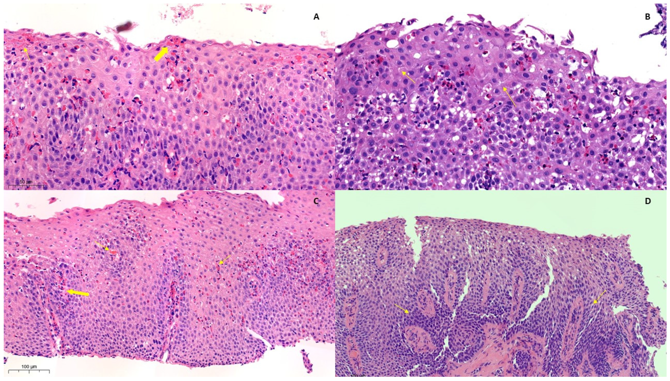 Diagnostics 14 00858 g004