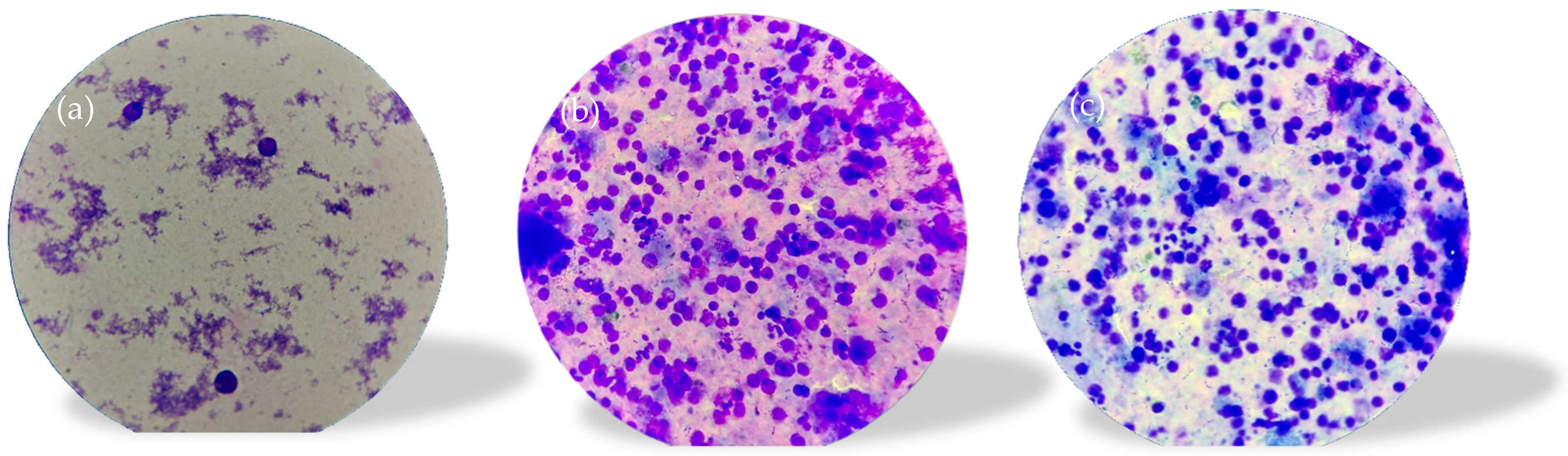 Diagnostics 14 00875 g003