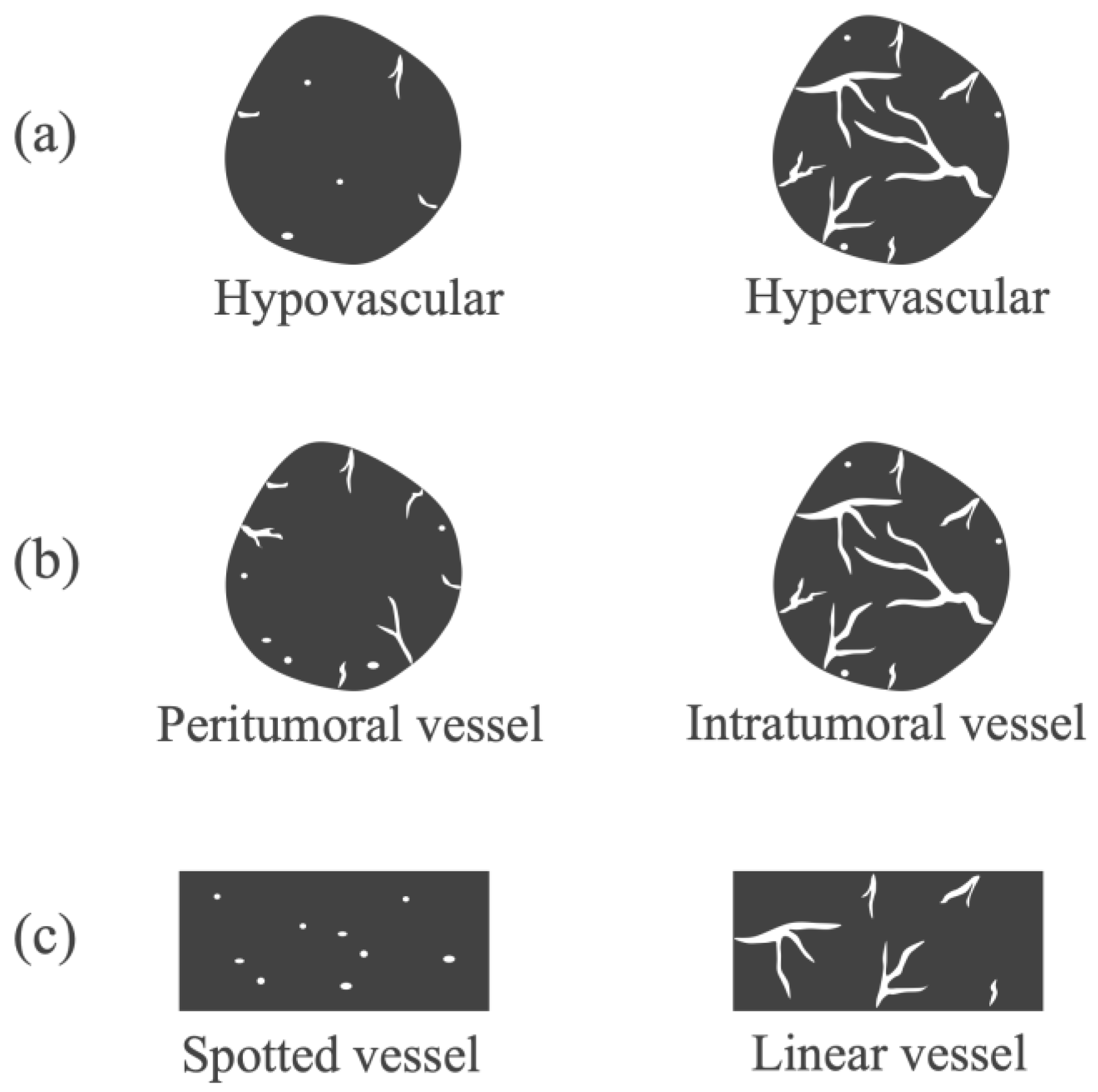 Diagnostics 14 00882 g002