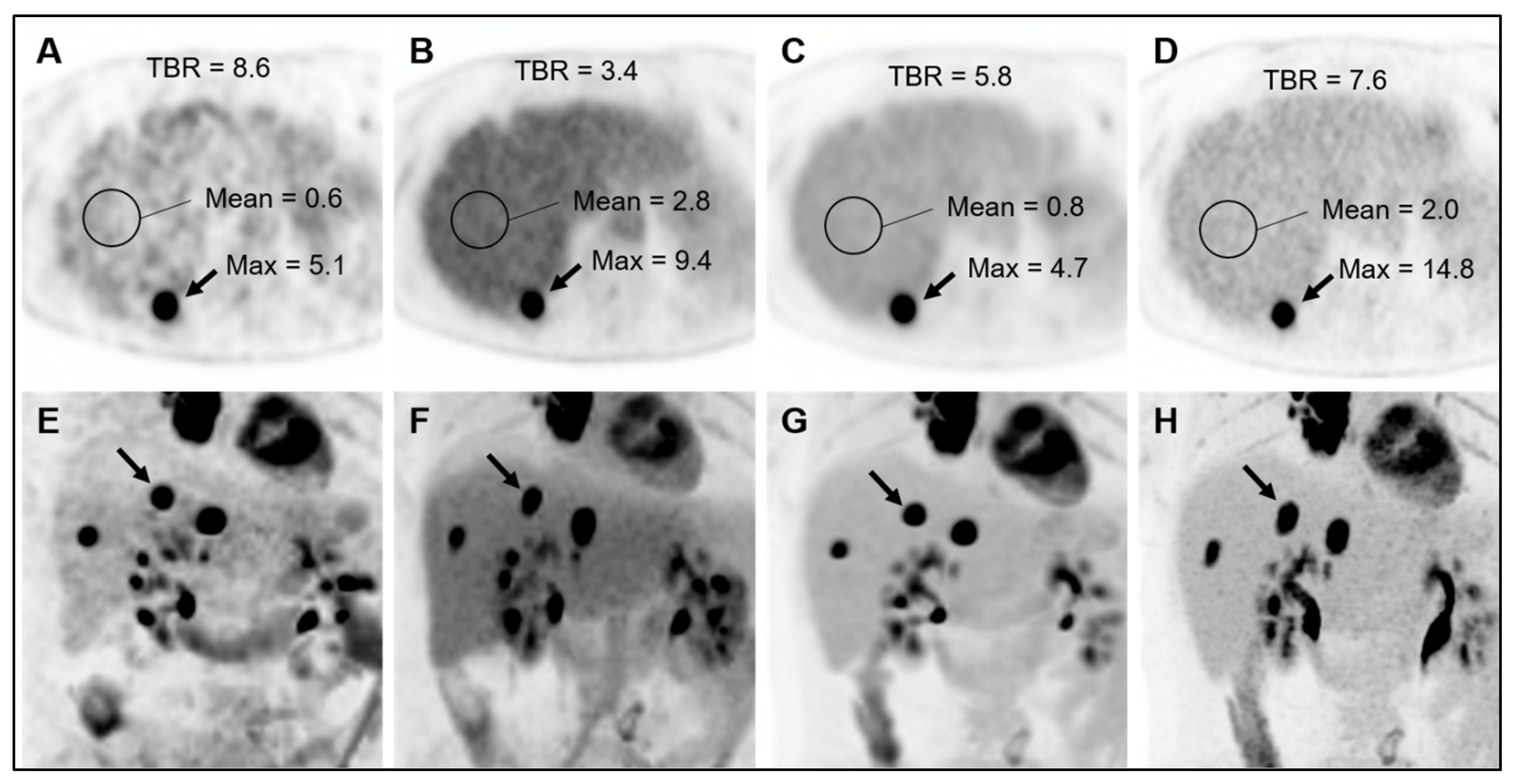 Diagnostics 14 00883 g007 Diagnostics 14 00883 g007