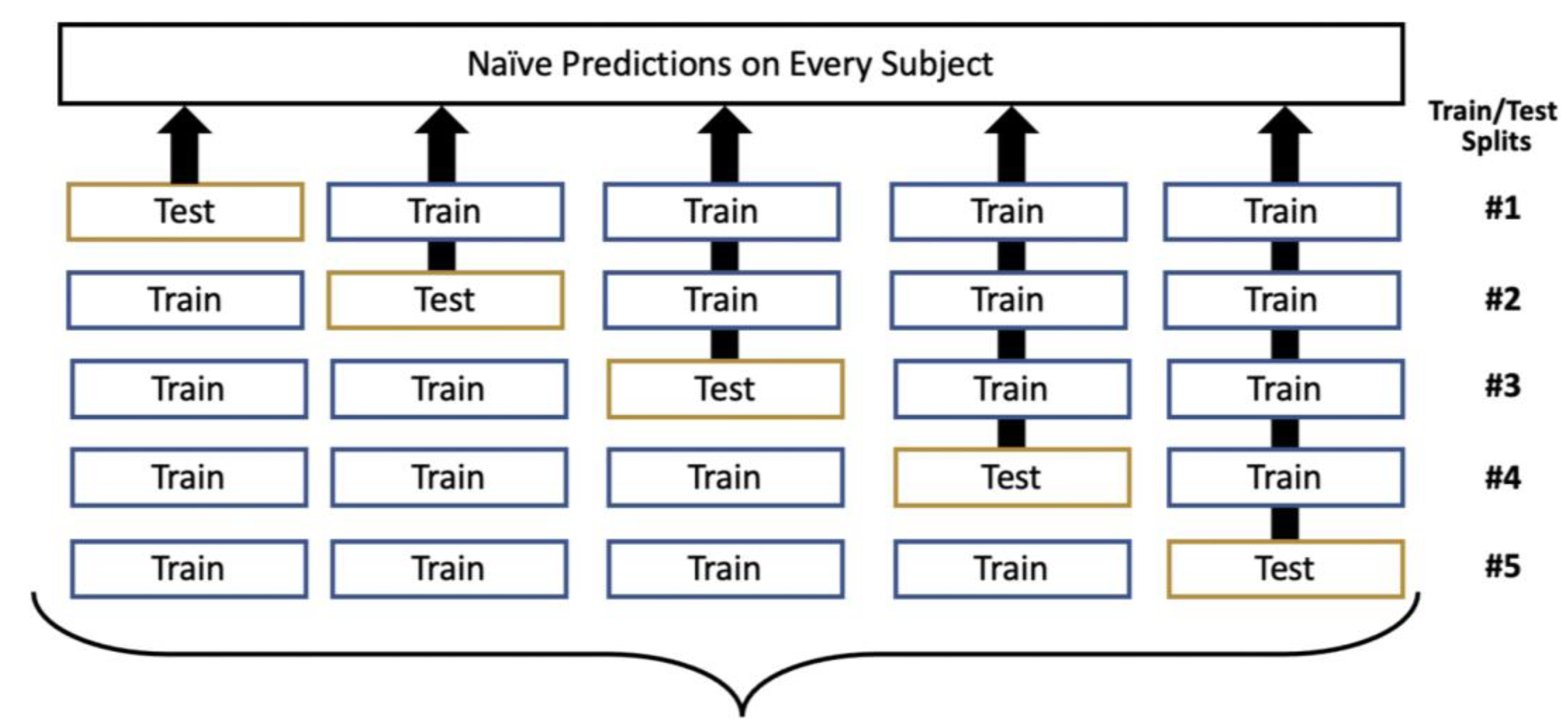 Diagnostics 14 00897 g002