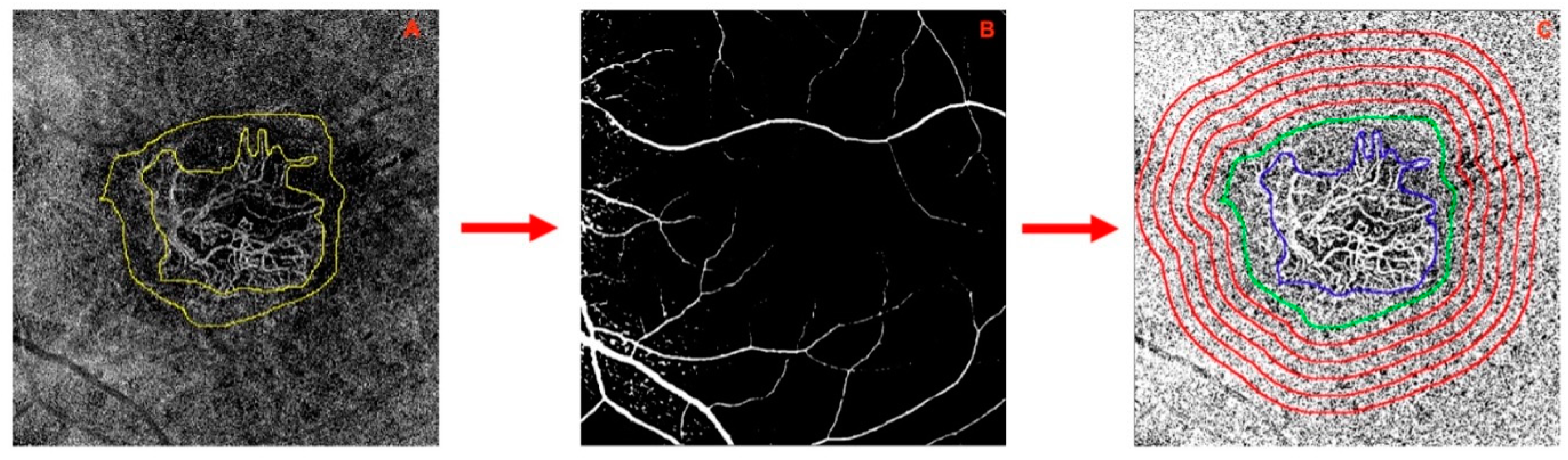 Diagnostics 14 00901 g001