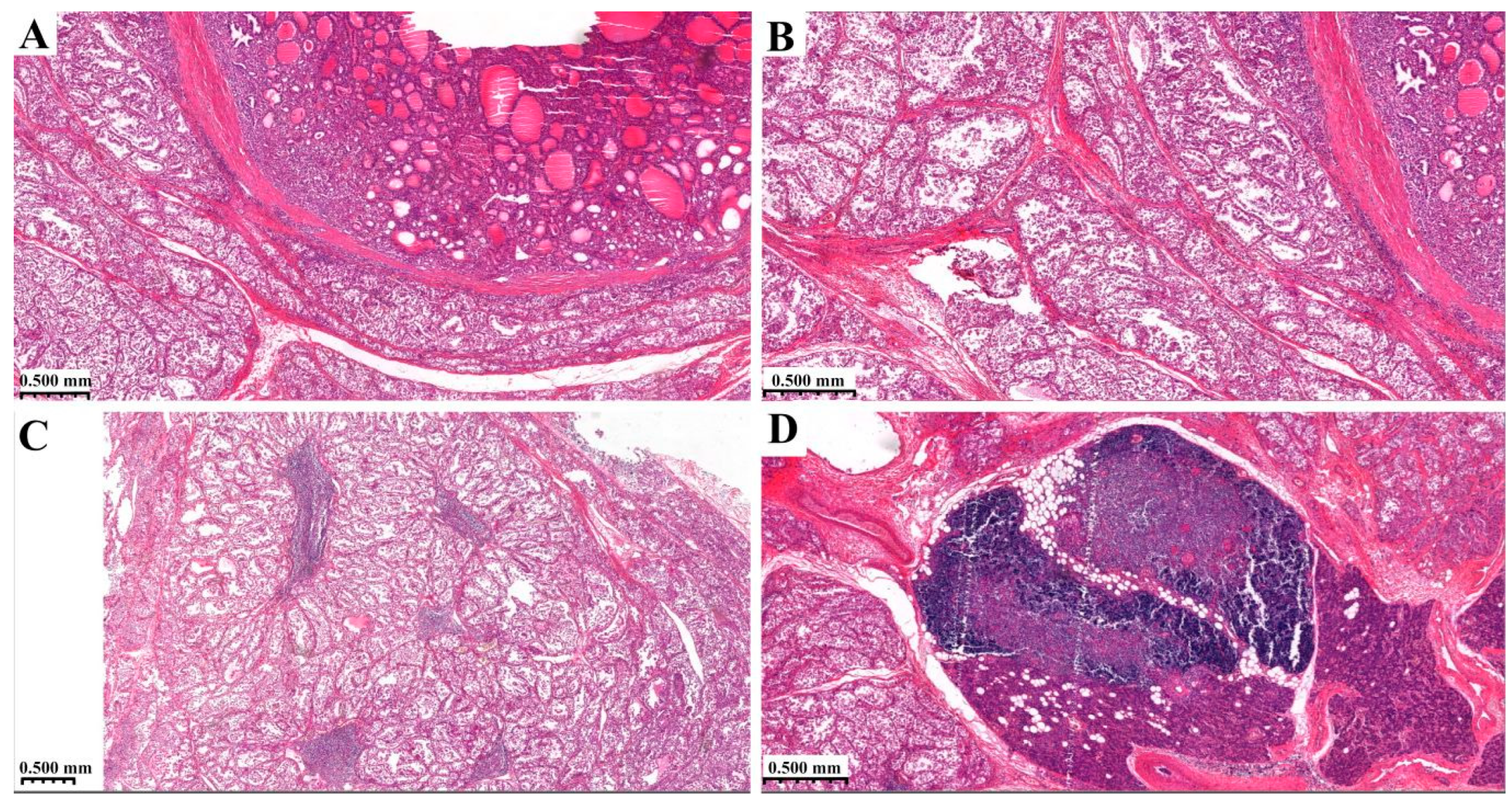 Diagnostics 14 00905 g003