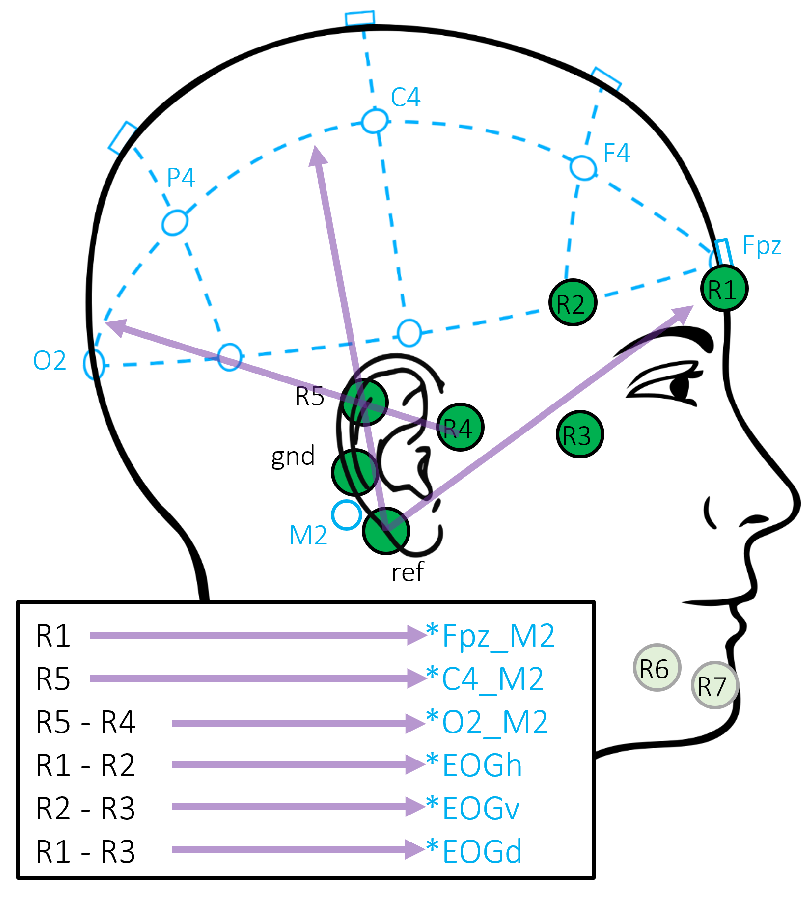 Diagnostics 14 00909 g002