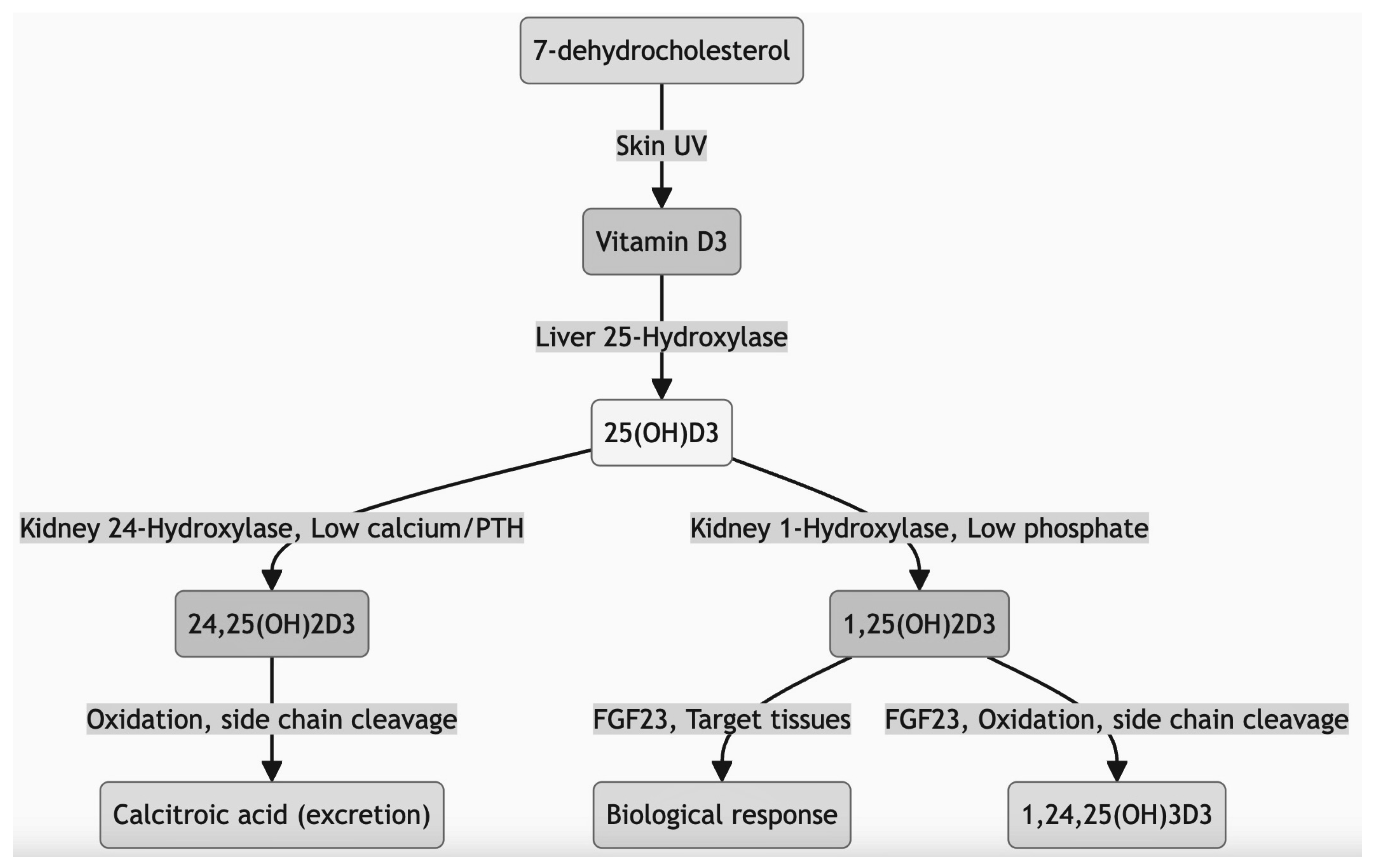 Diagnostics 14 00920 g004