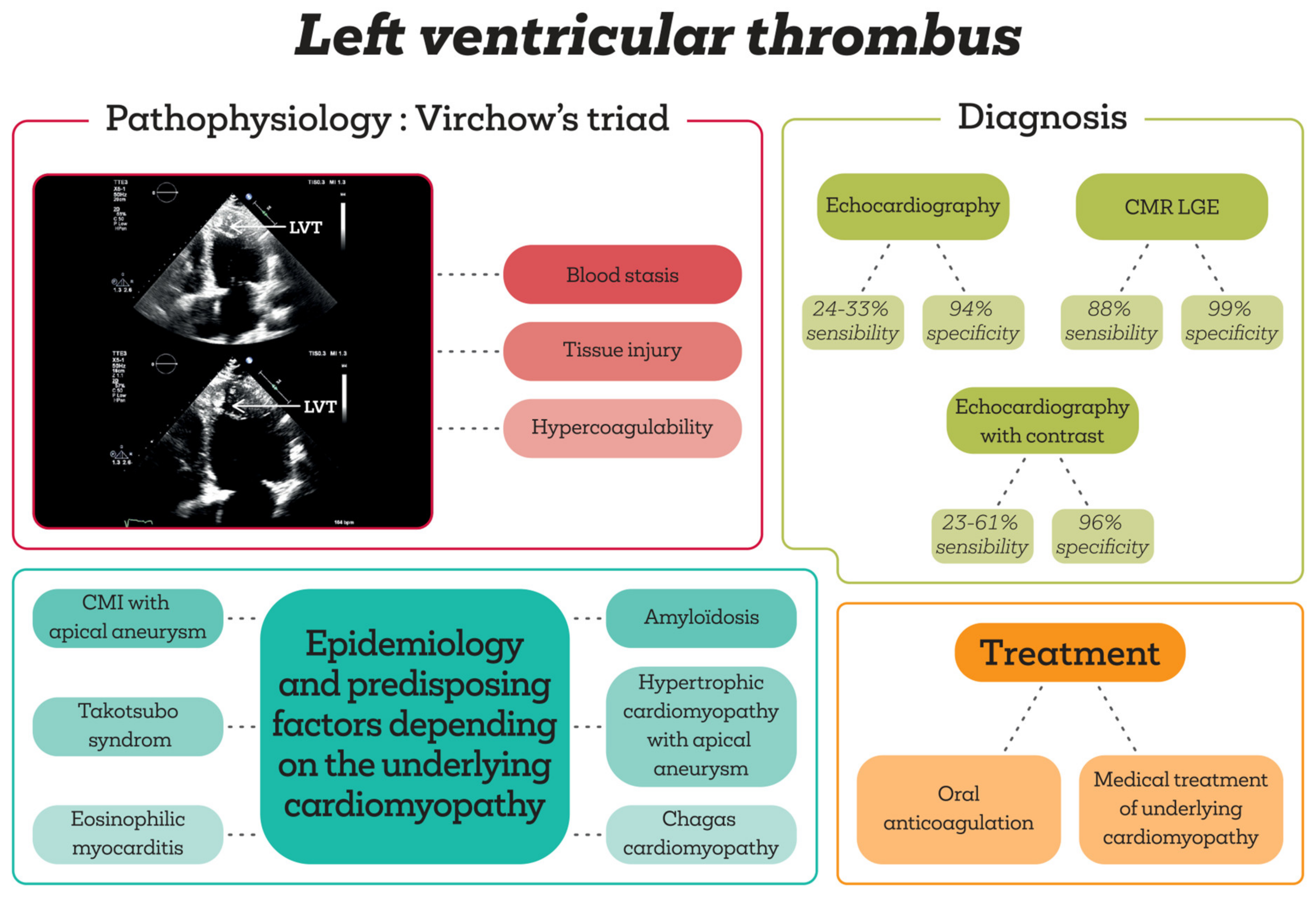 Diagnostics 14 00948 g001
