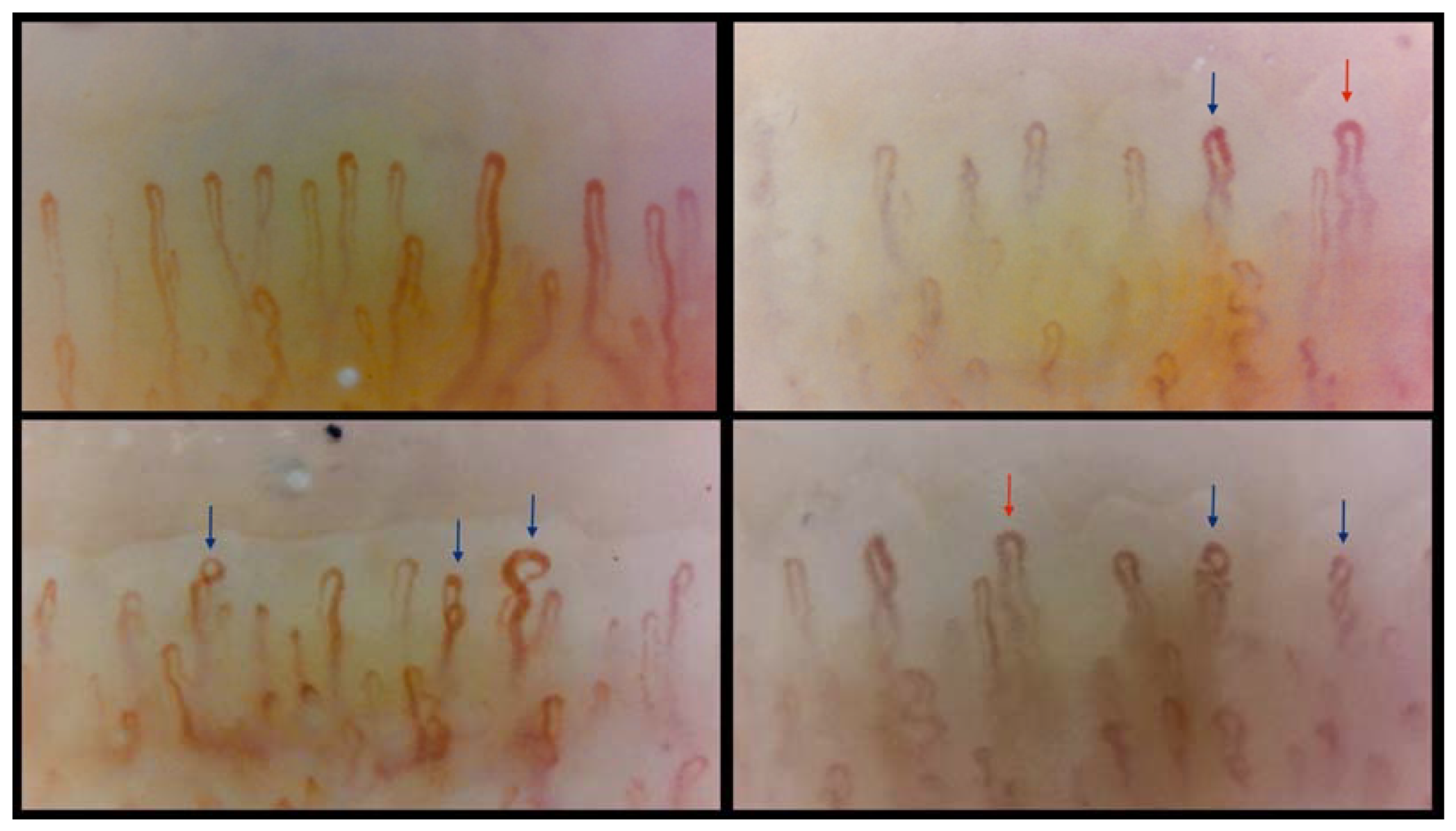 Diagnostics 14 00950 g001 Diagnostics 14 00950 g001