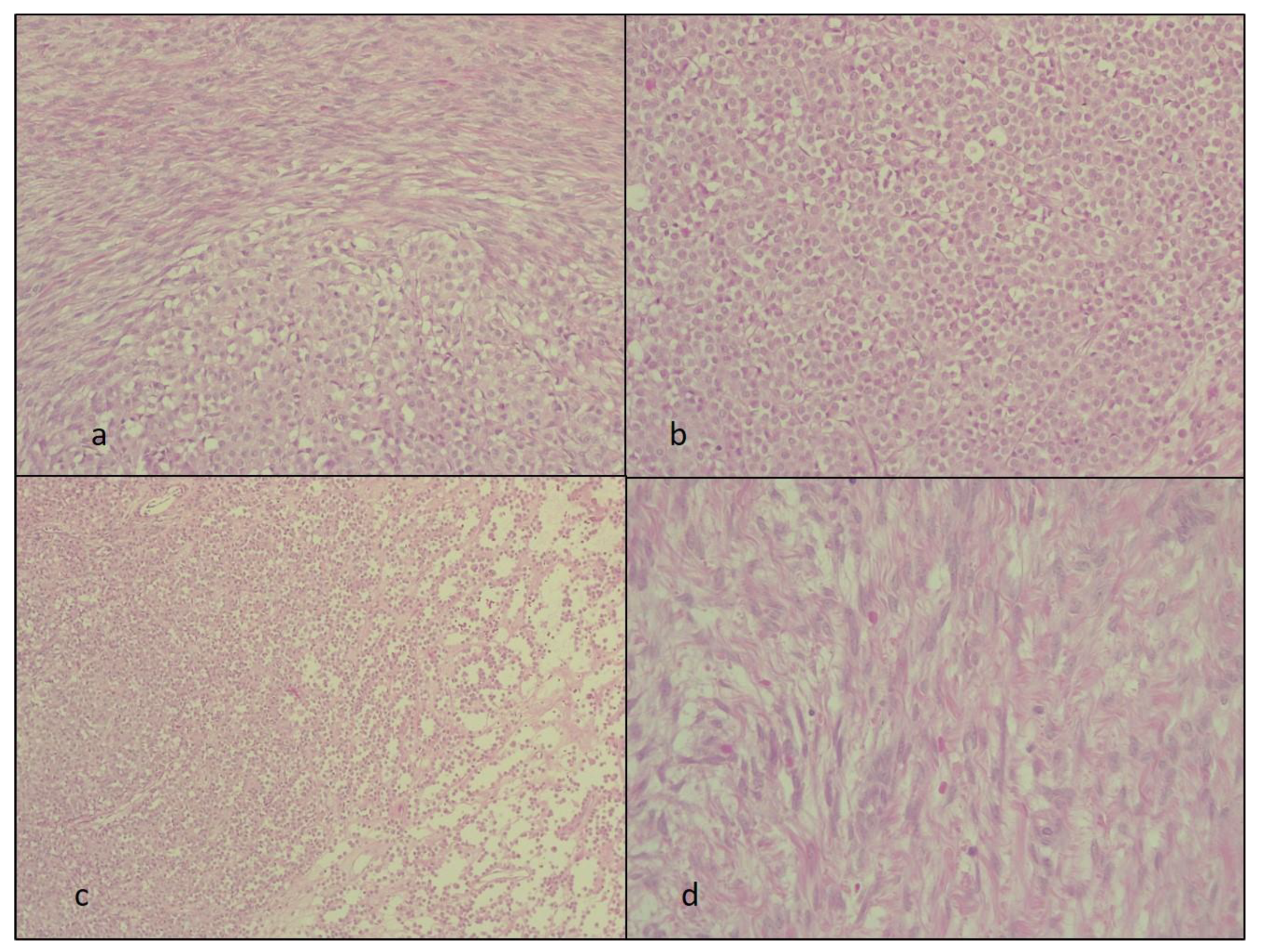 Diagnostics 14 00953 g002 Diagnostics 14 00953 g002