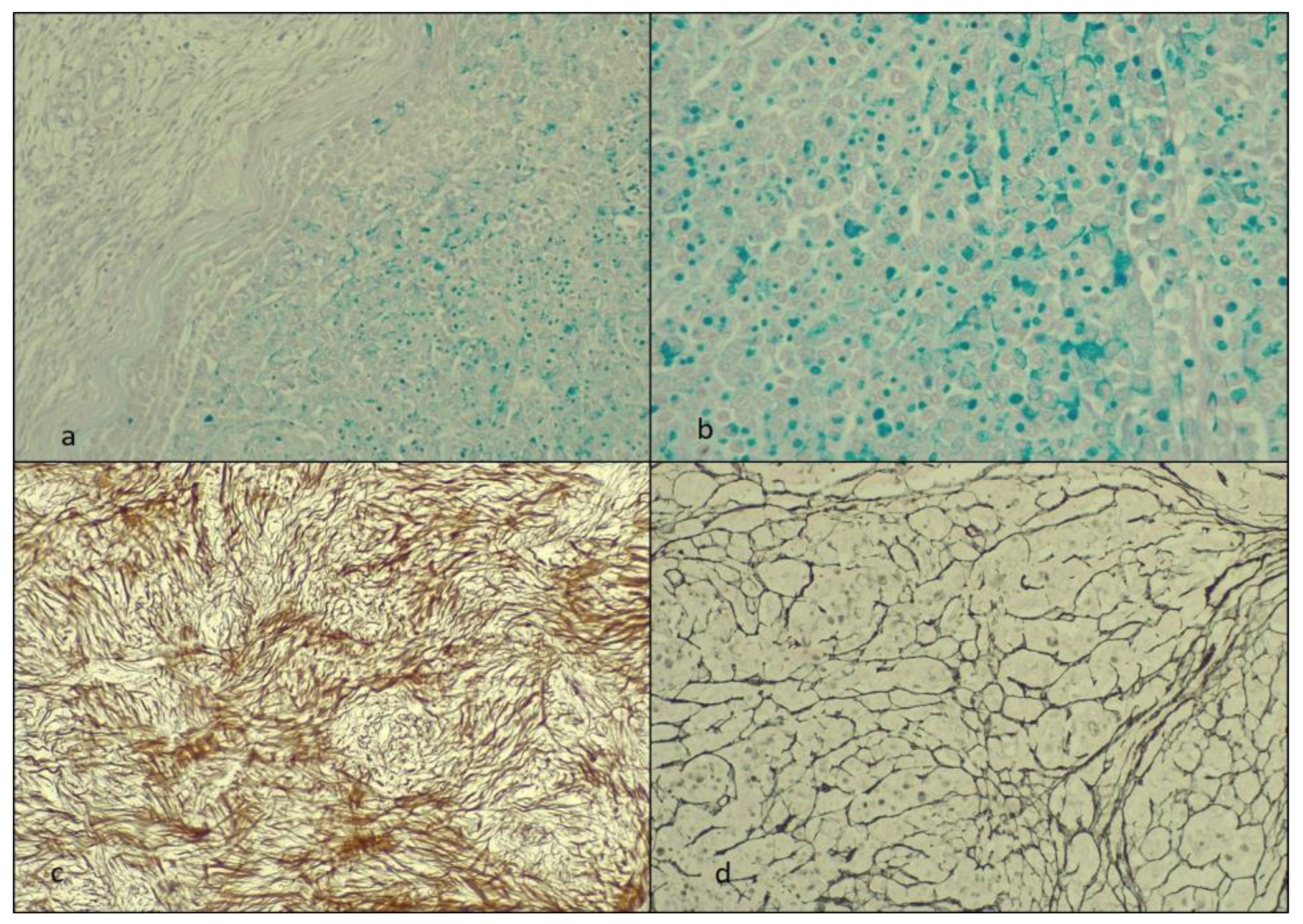 Diagnostics 14 00953 g003 Diagnostics 14 00953 g003