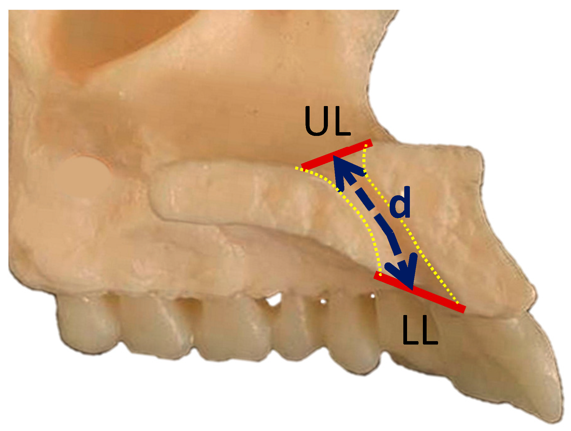 Diagnostics 14 00973 g002