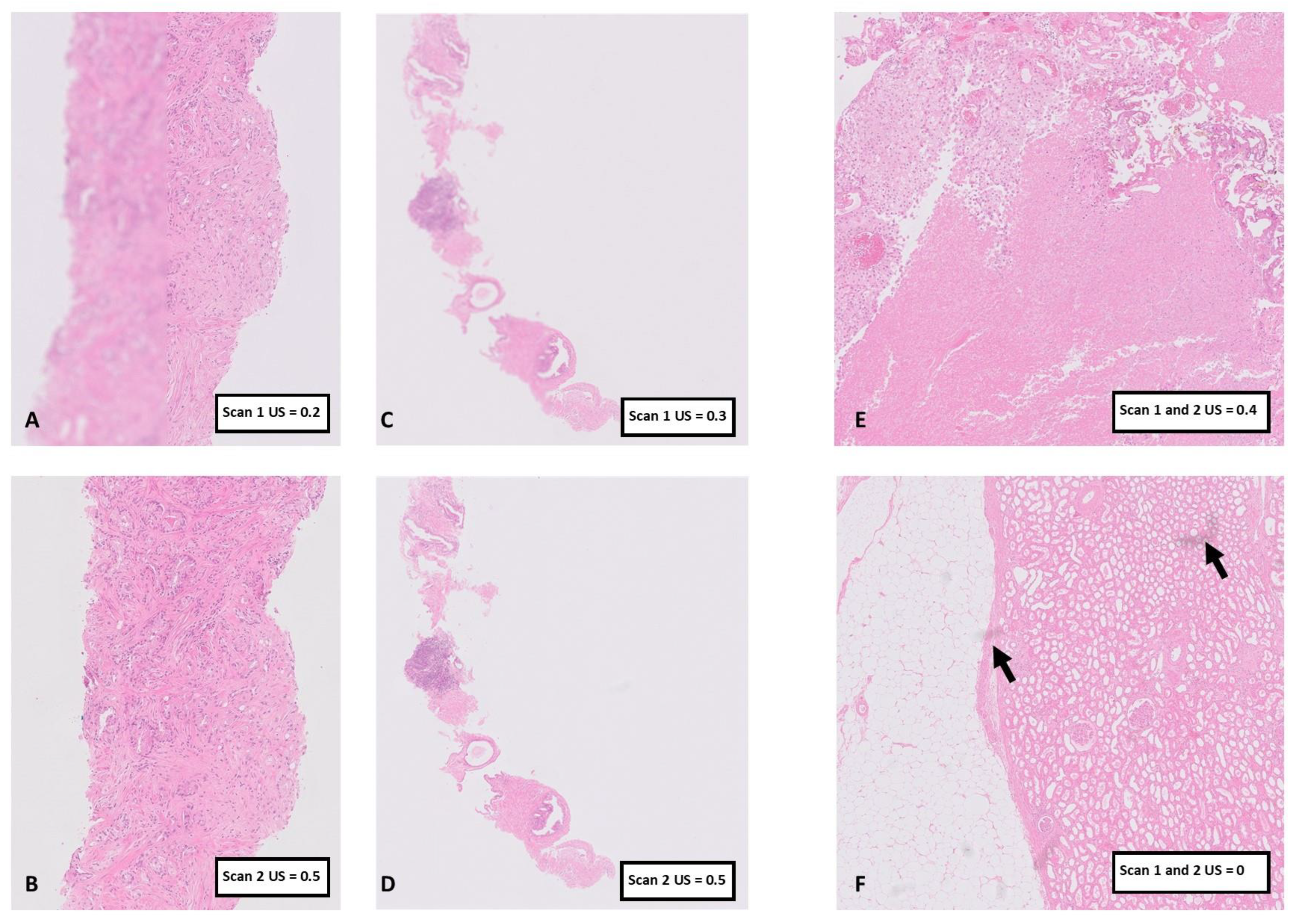 Diagnostics 14 00990 g006
