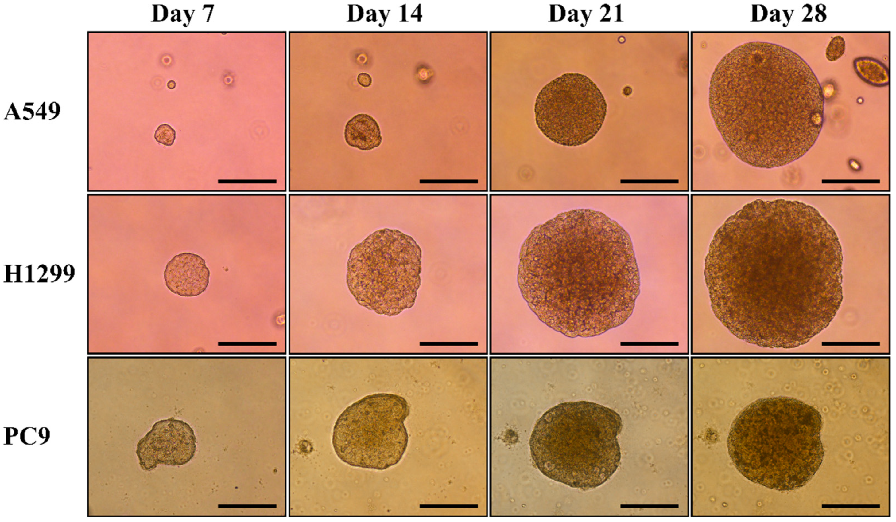 Diagnostics 14 00998 g001