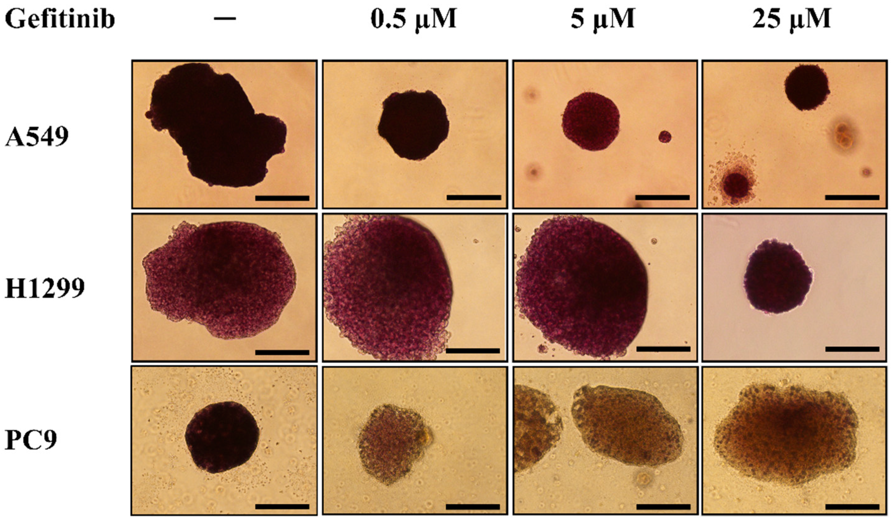 Diagnostics 14 00998 g003