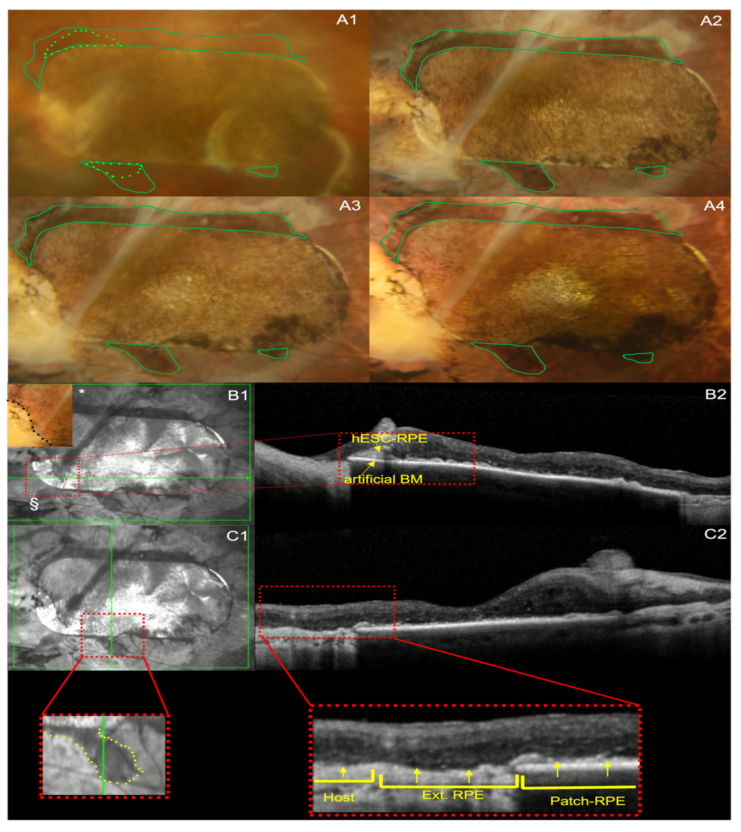 Diagnostics 14 01005 g002