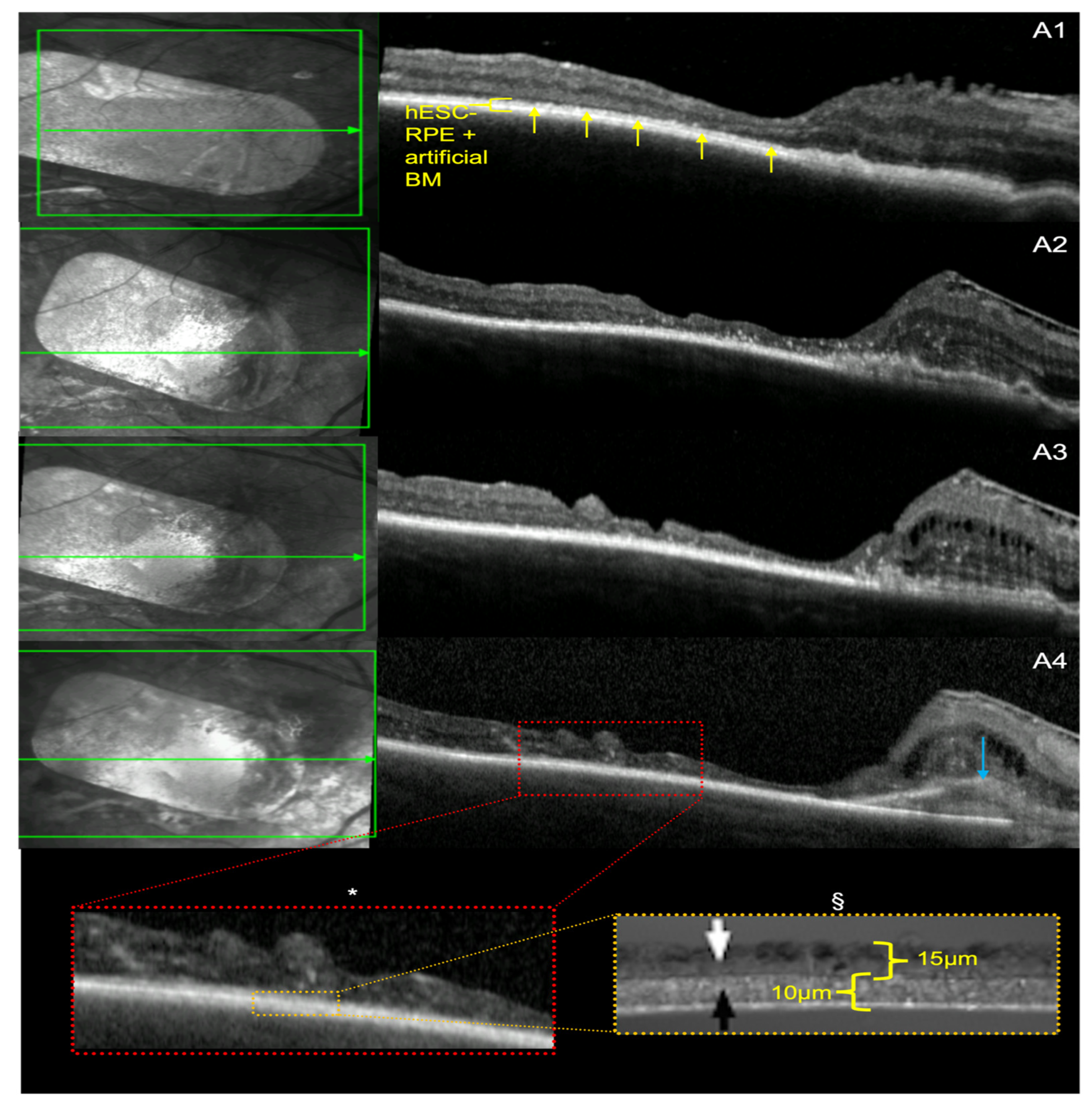 Diagnostics 14 01005 g003