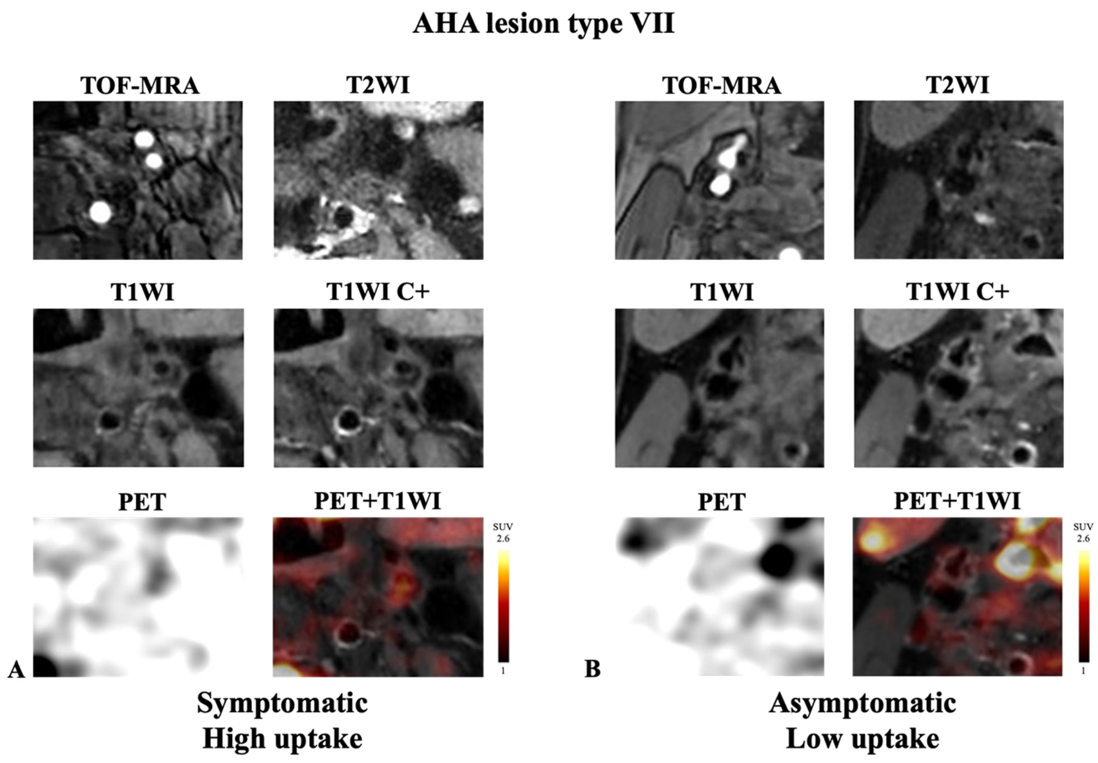 Diagnostics 14 01006 g004