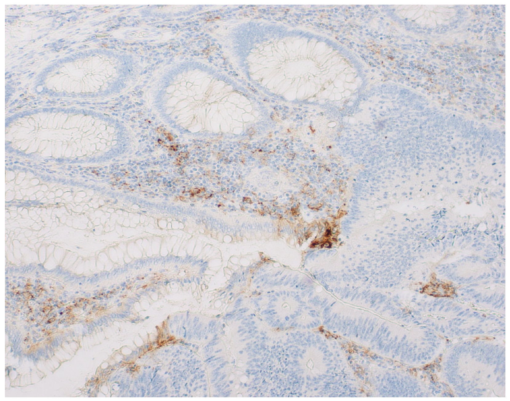 Diagnostics 14 01007 g002