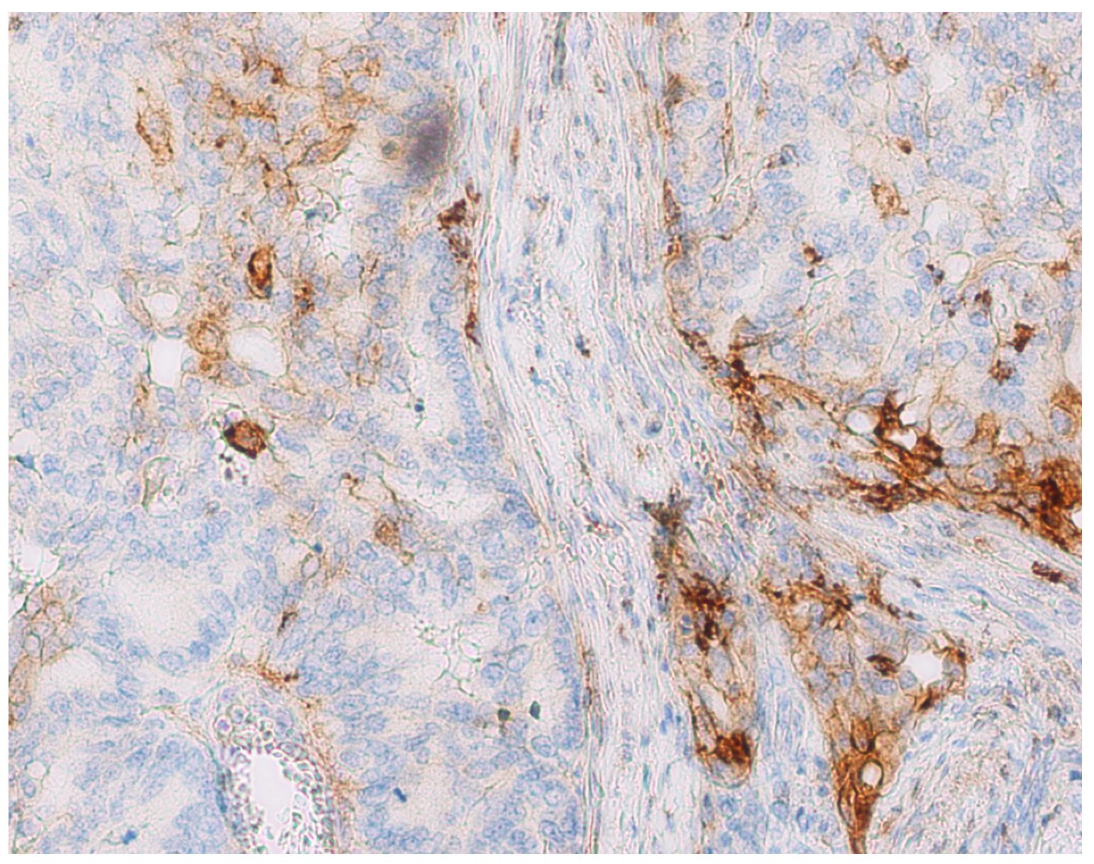 Diagnostics 14 01007 g003