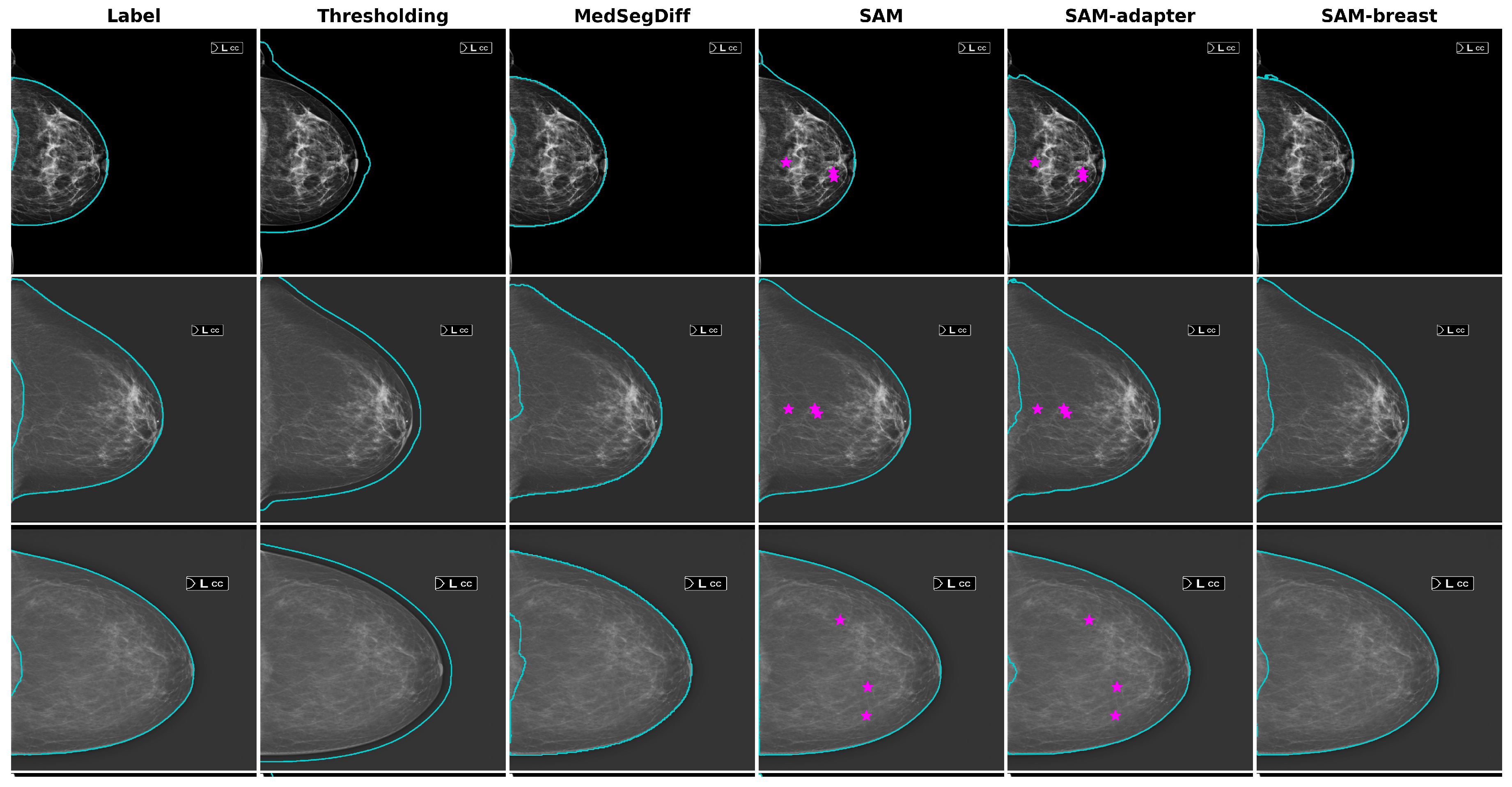 Diagnostics 14 01015 g005