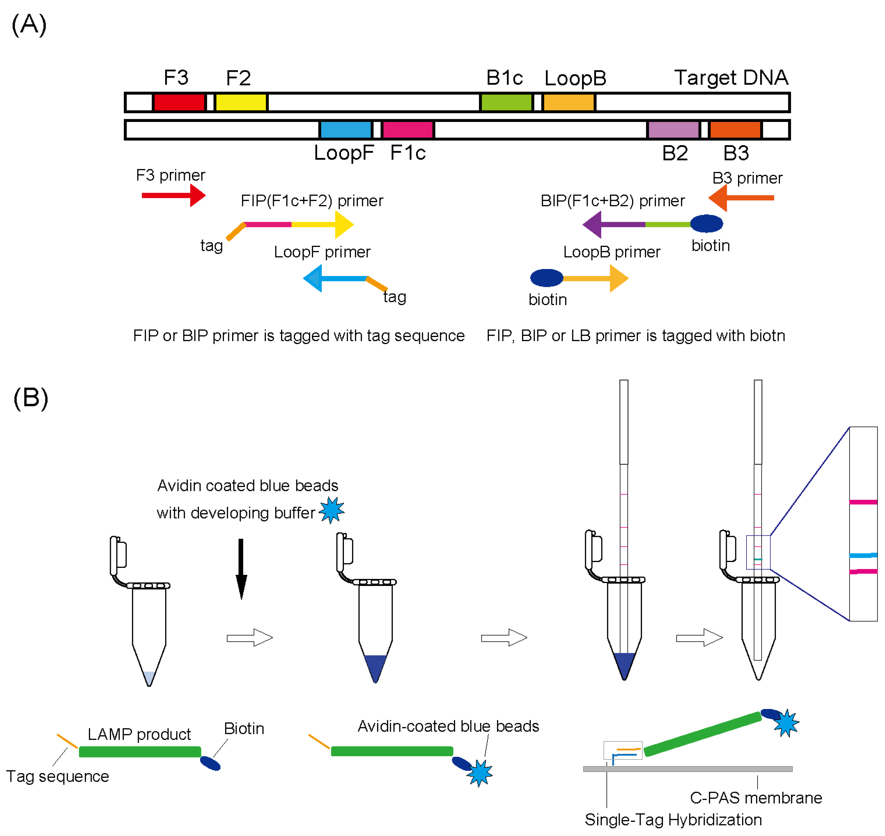 Diagnostics 14 01027 g001