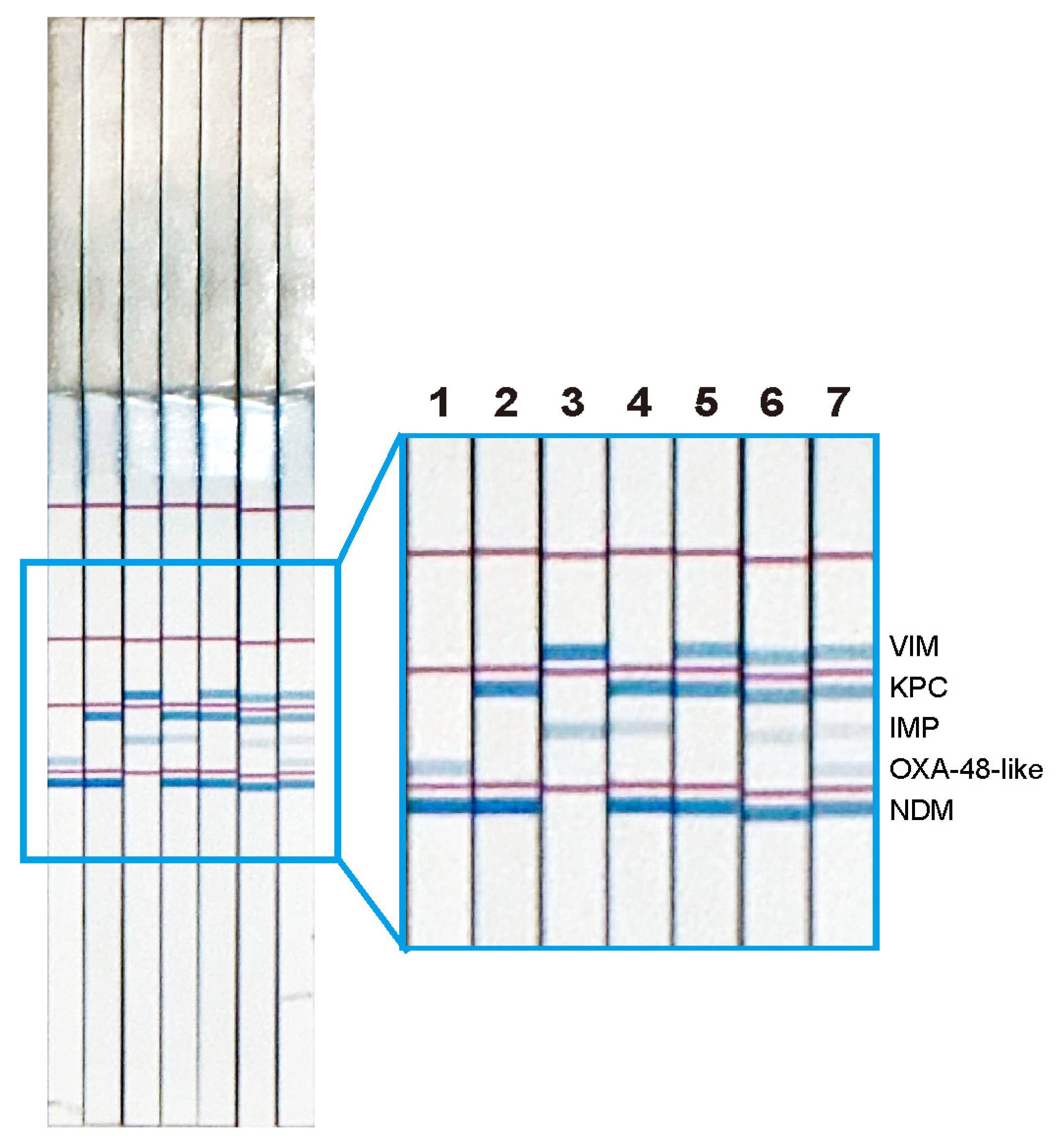 Diagnostics 14 01027 g003