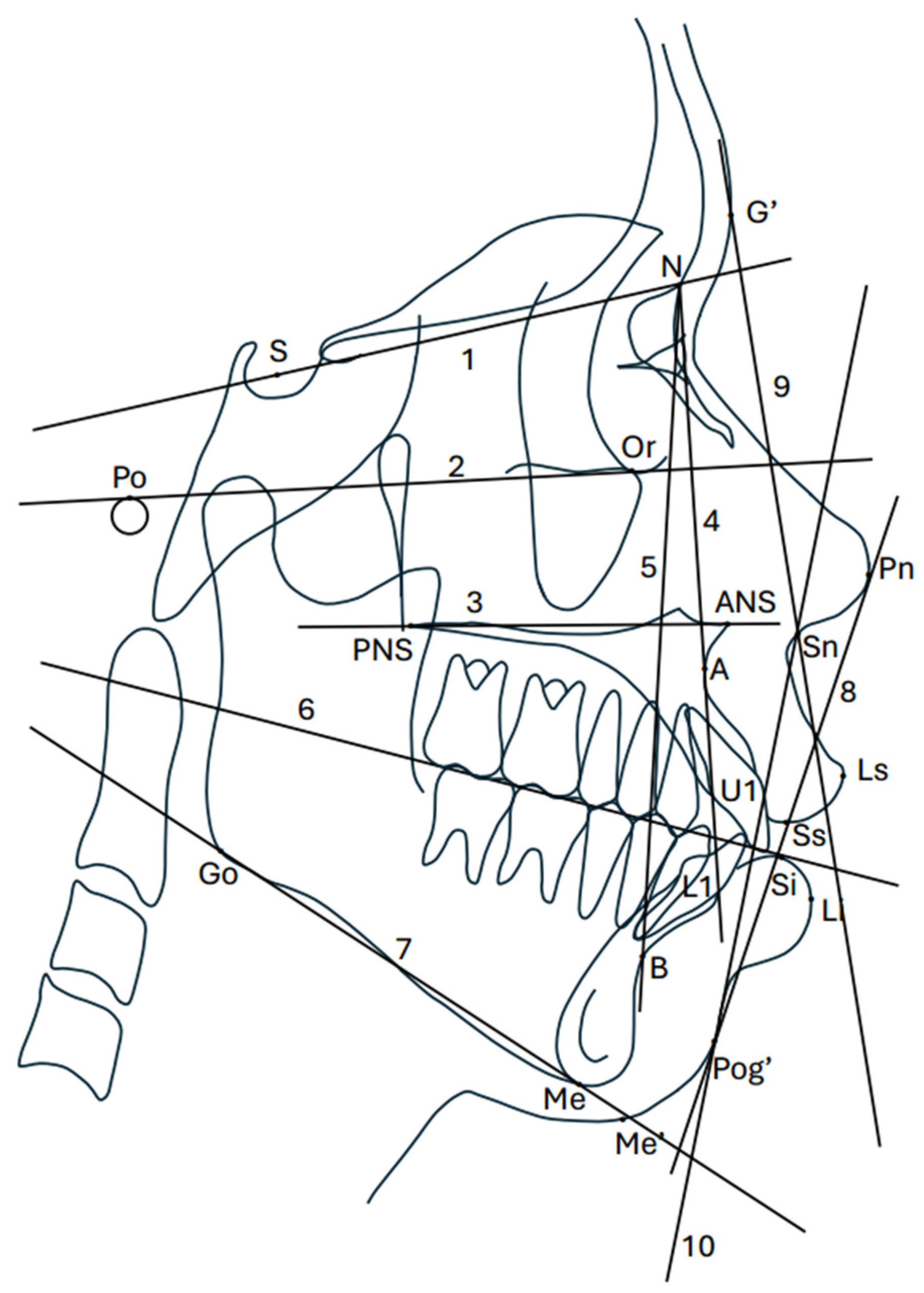 Diagnostics 14 01031 g001