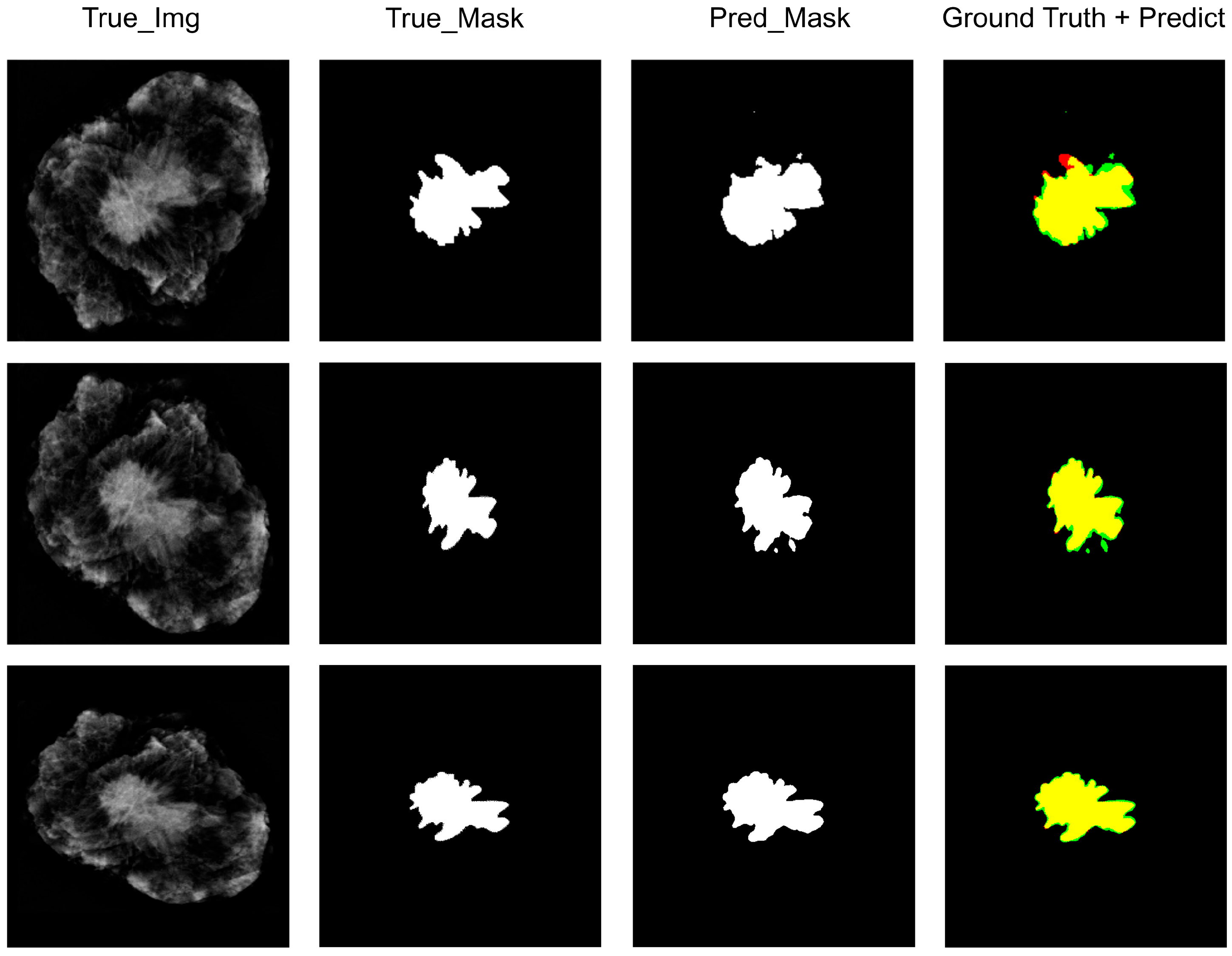 Diagnostics 14 01032 g006