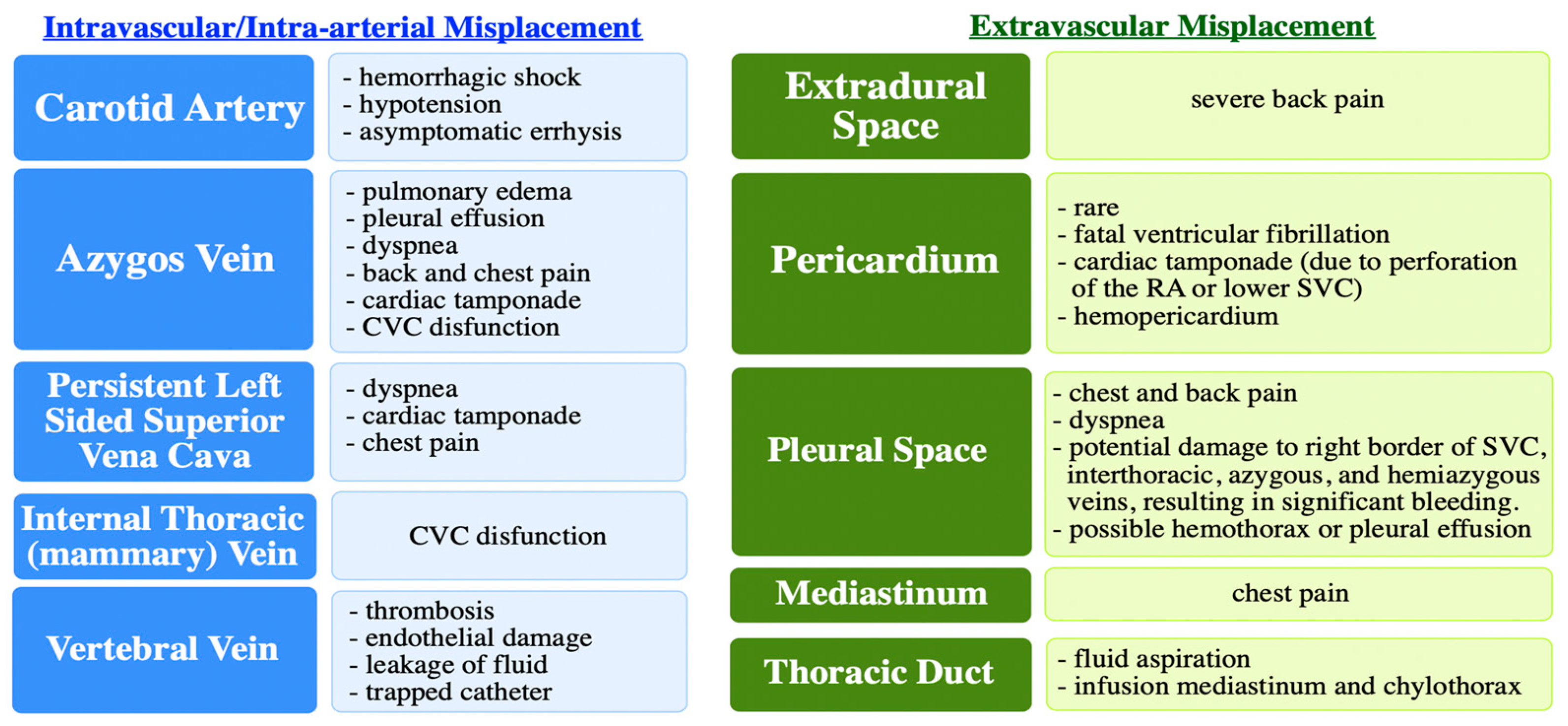 Diagnostics 14 01038 g003