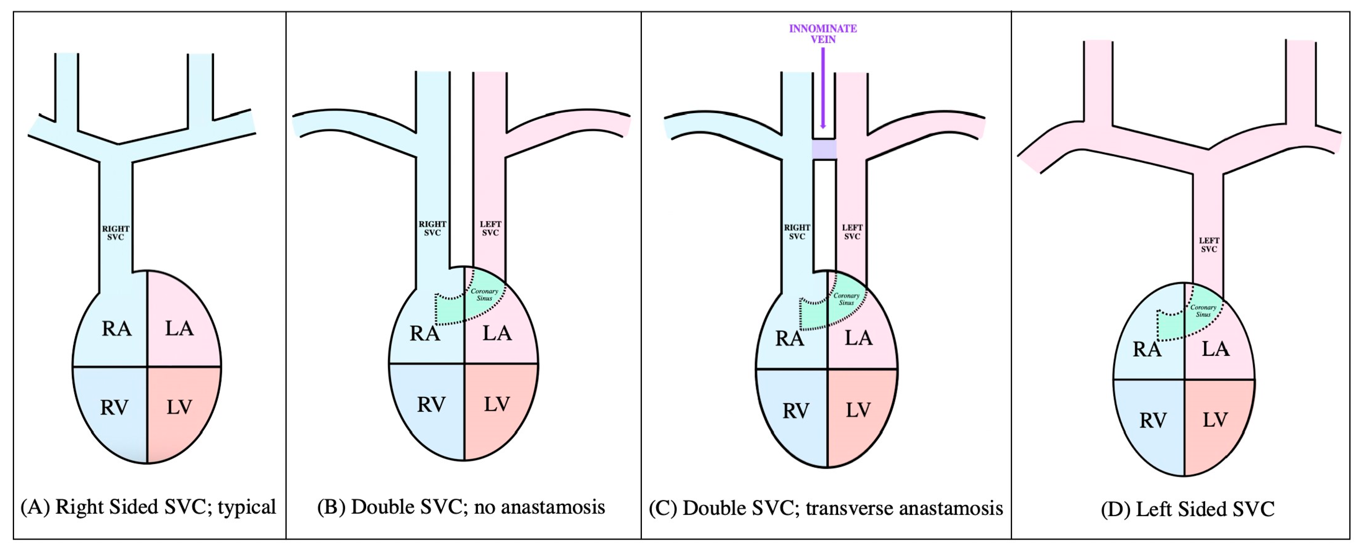 Diagnostics 14 01038 g004