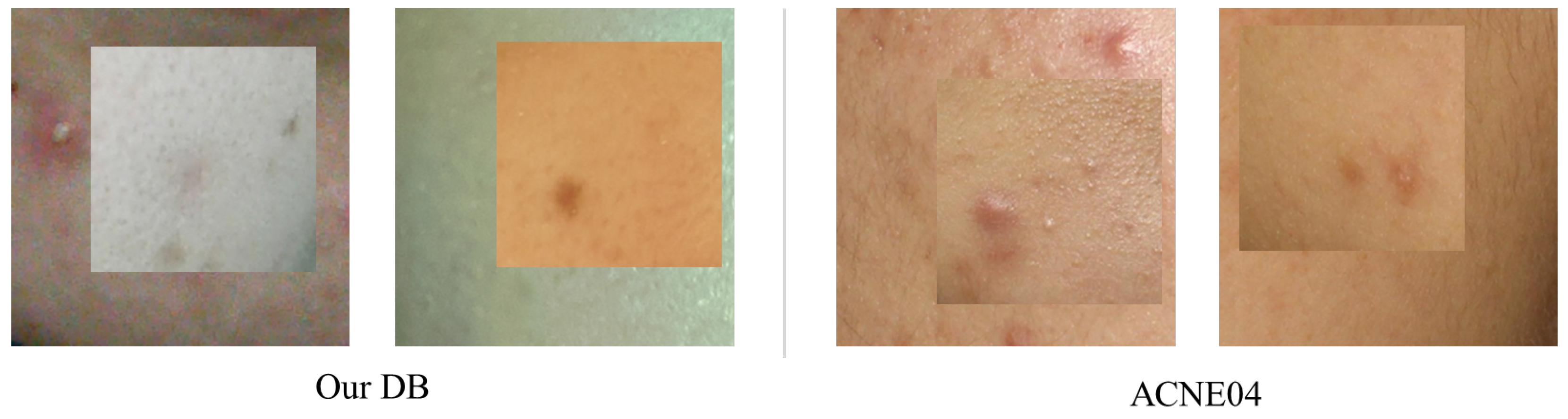 Diagnostics 14 01040 g007