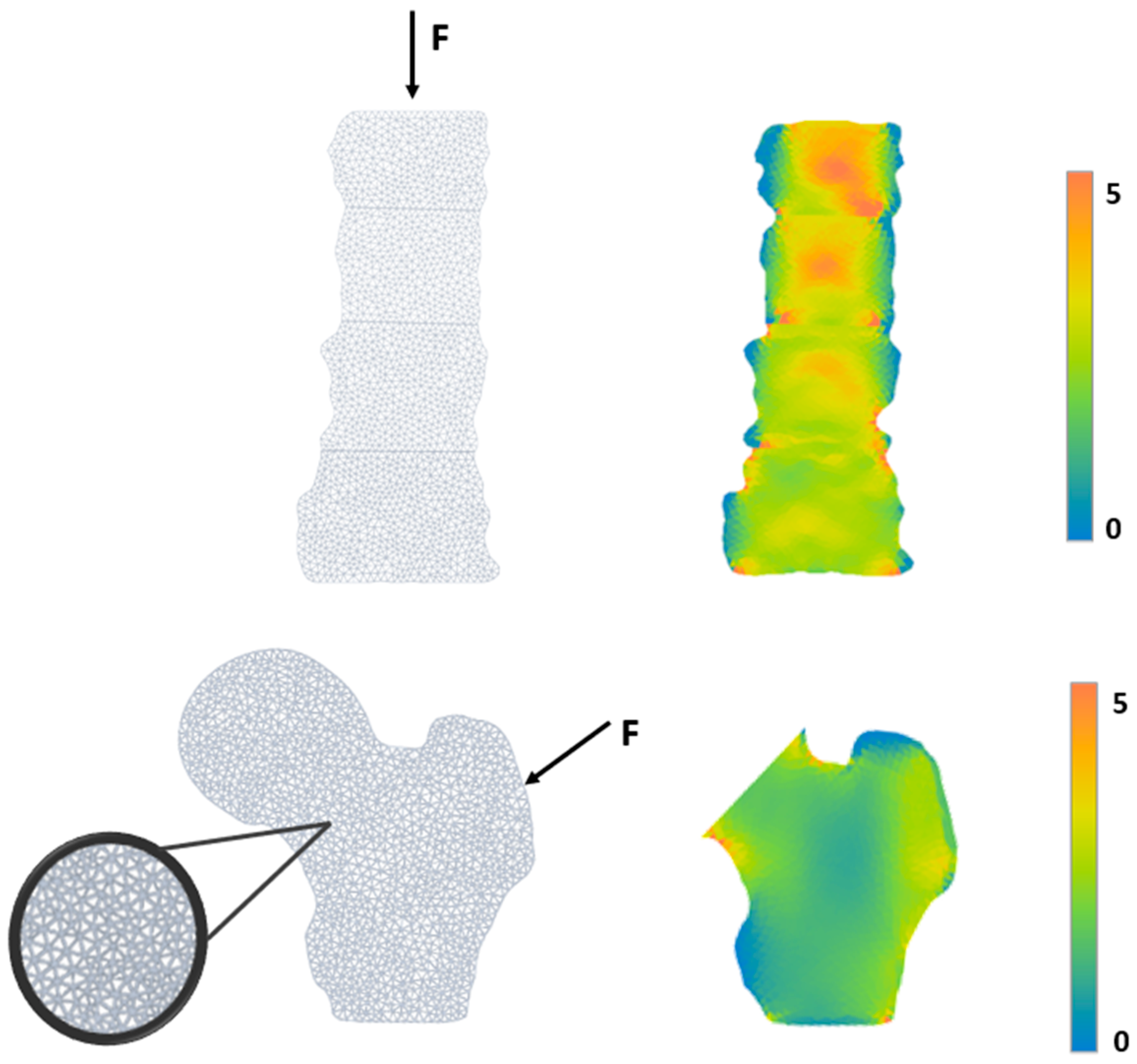 Diagnostics 14 01046 g002