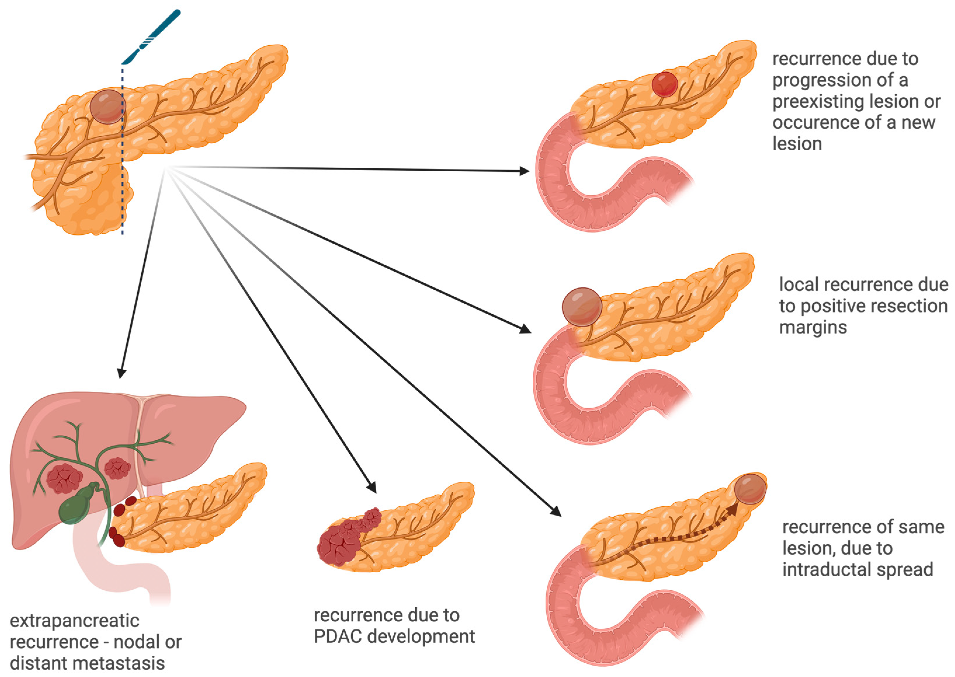 Diagnostics 14 01056 g002