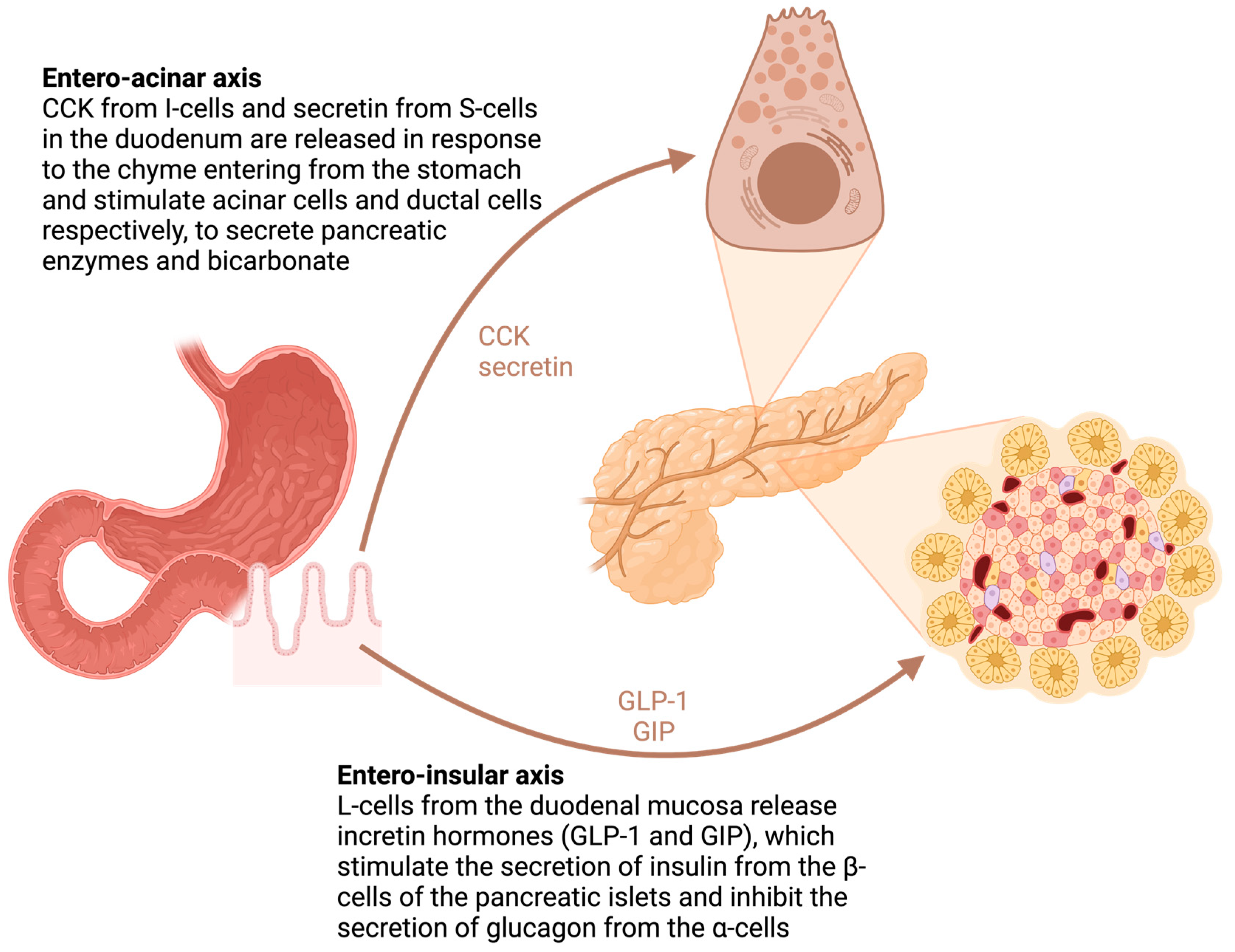 Diagnostics 14 01056 g004