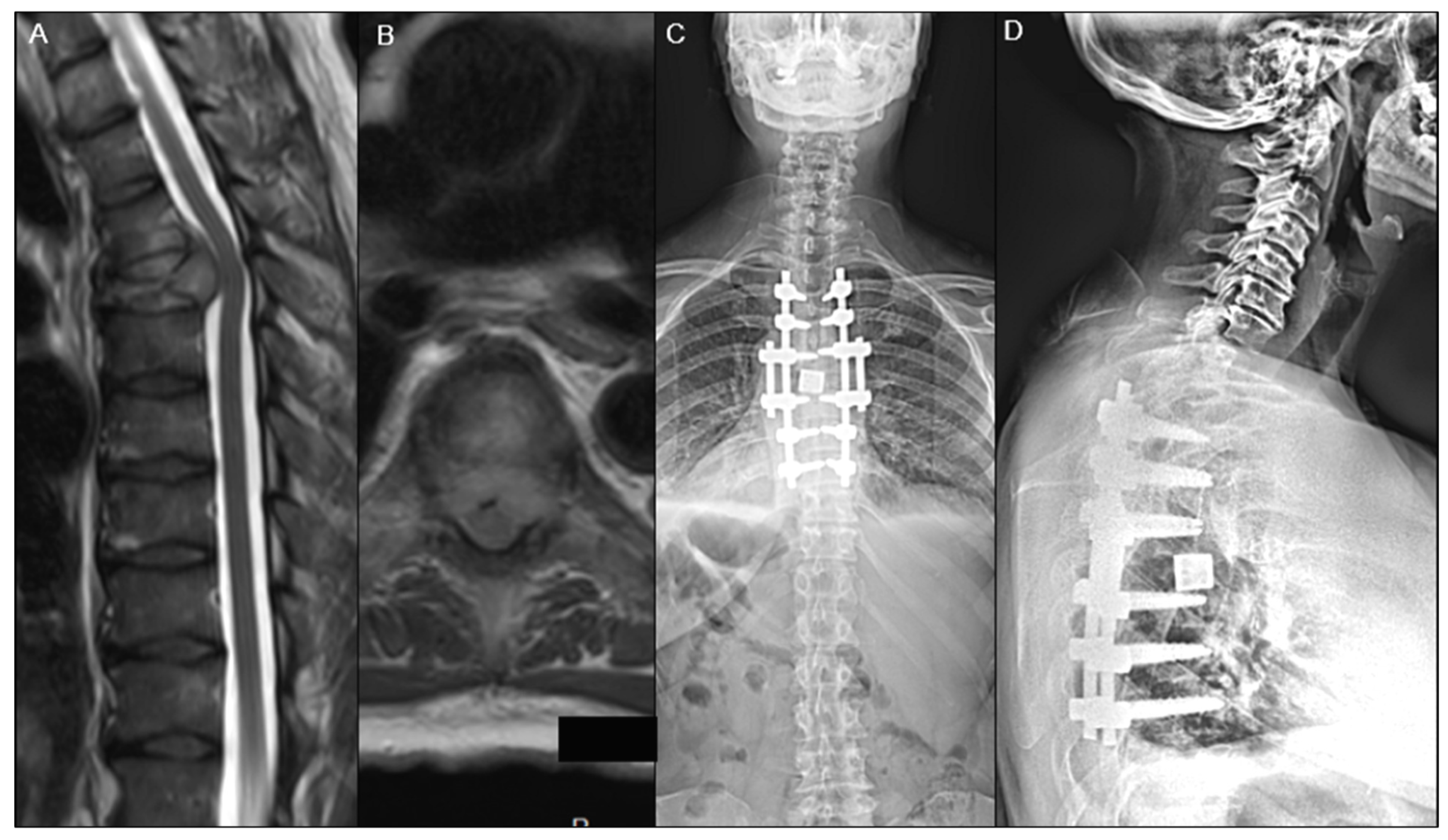 Diagnostics 14 01058 g001