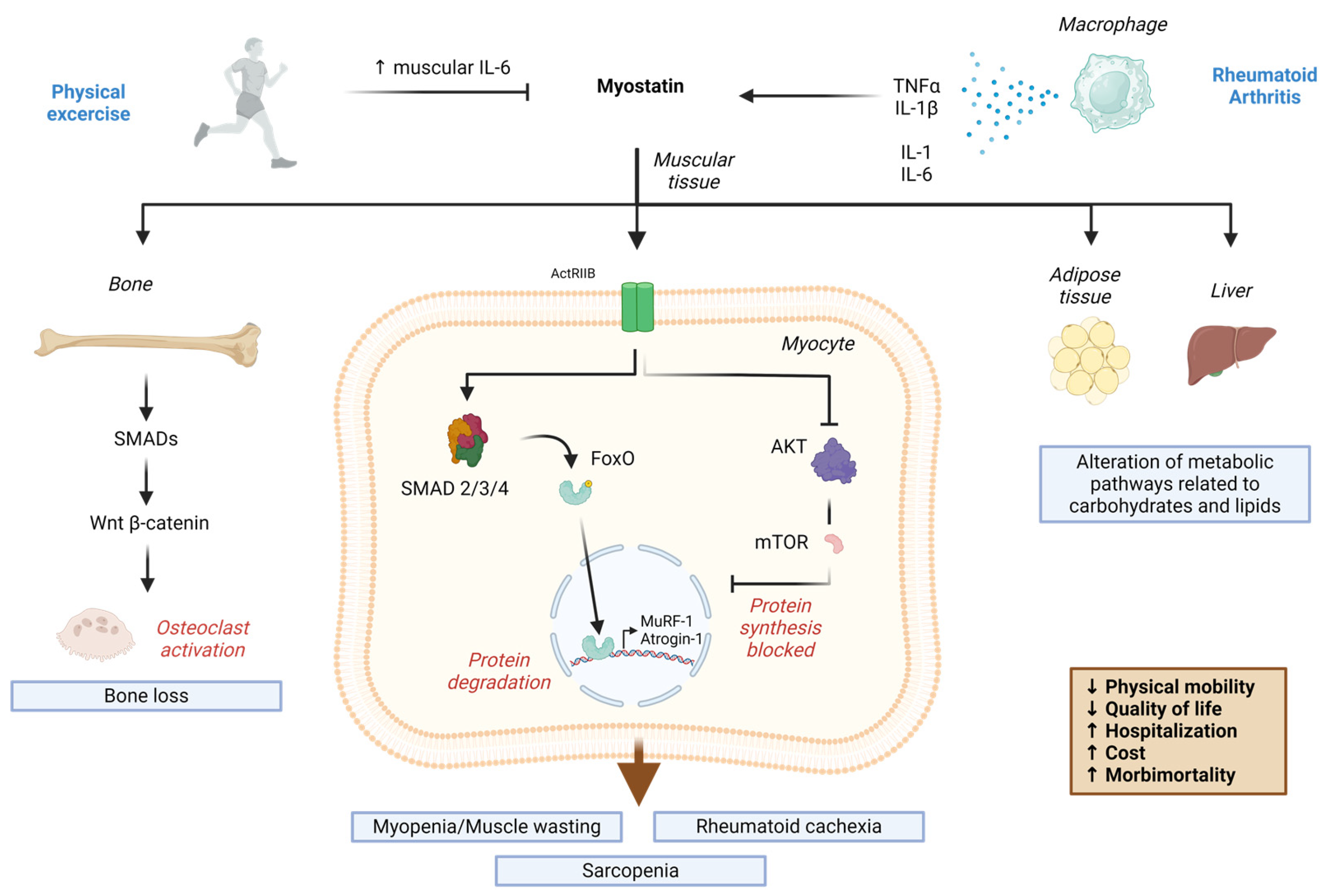 Diagnostics 14 01085 g001