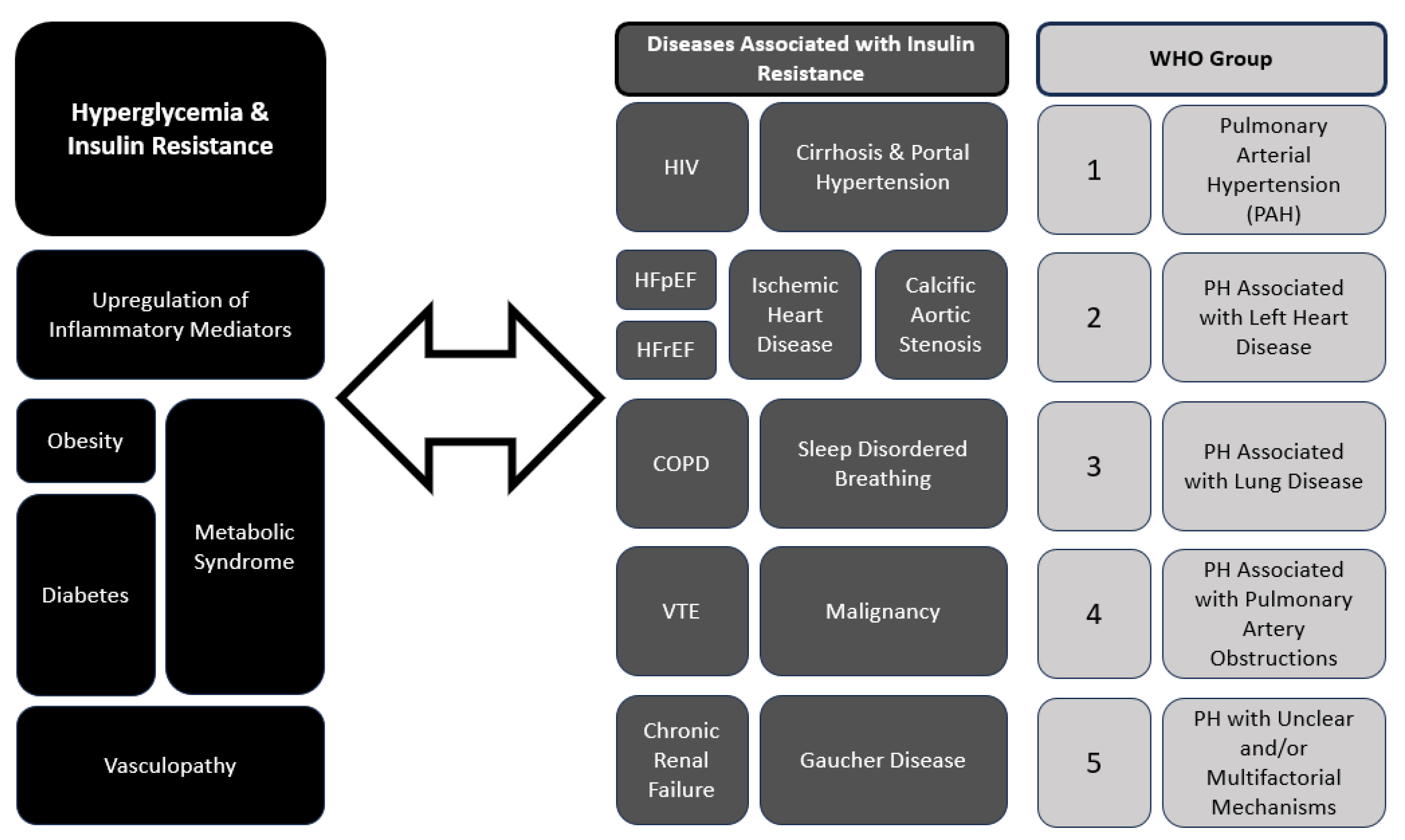 Diagnostics 14 01119 g001
