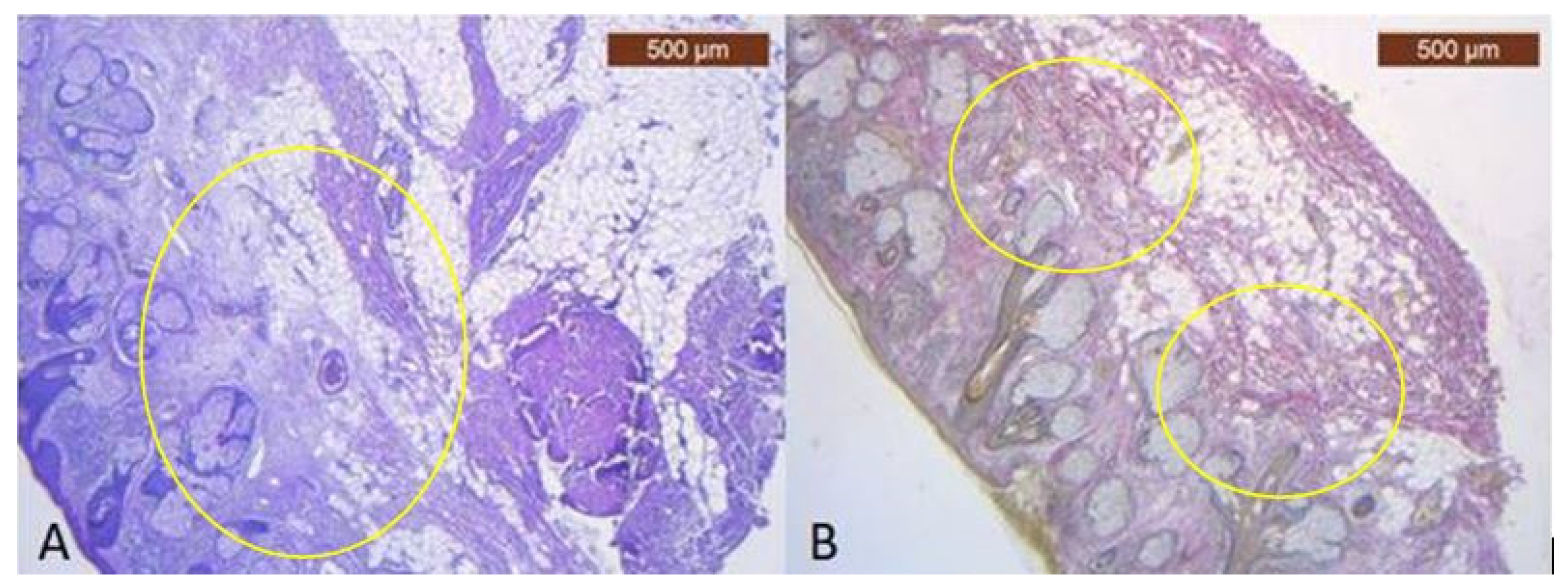 Diagnostics 14 01126 g001