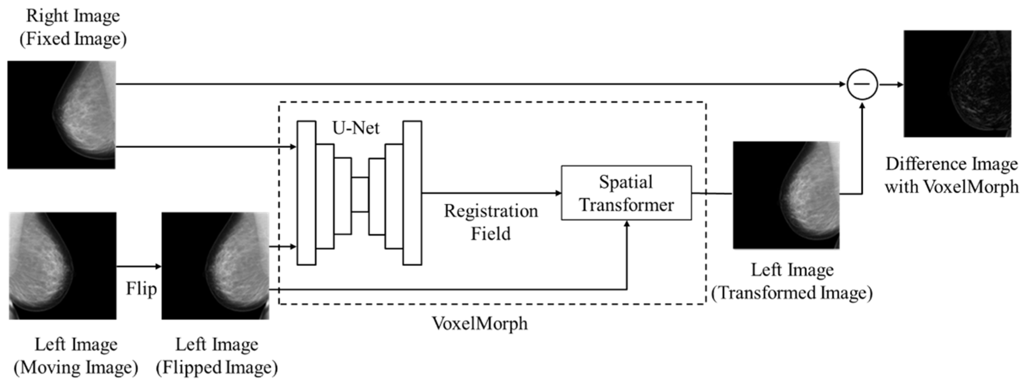 Diagnostics 14 01131 g001