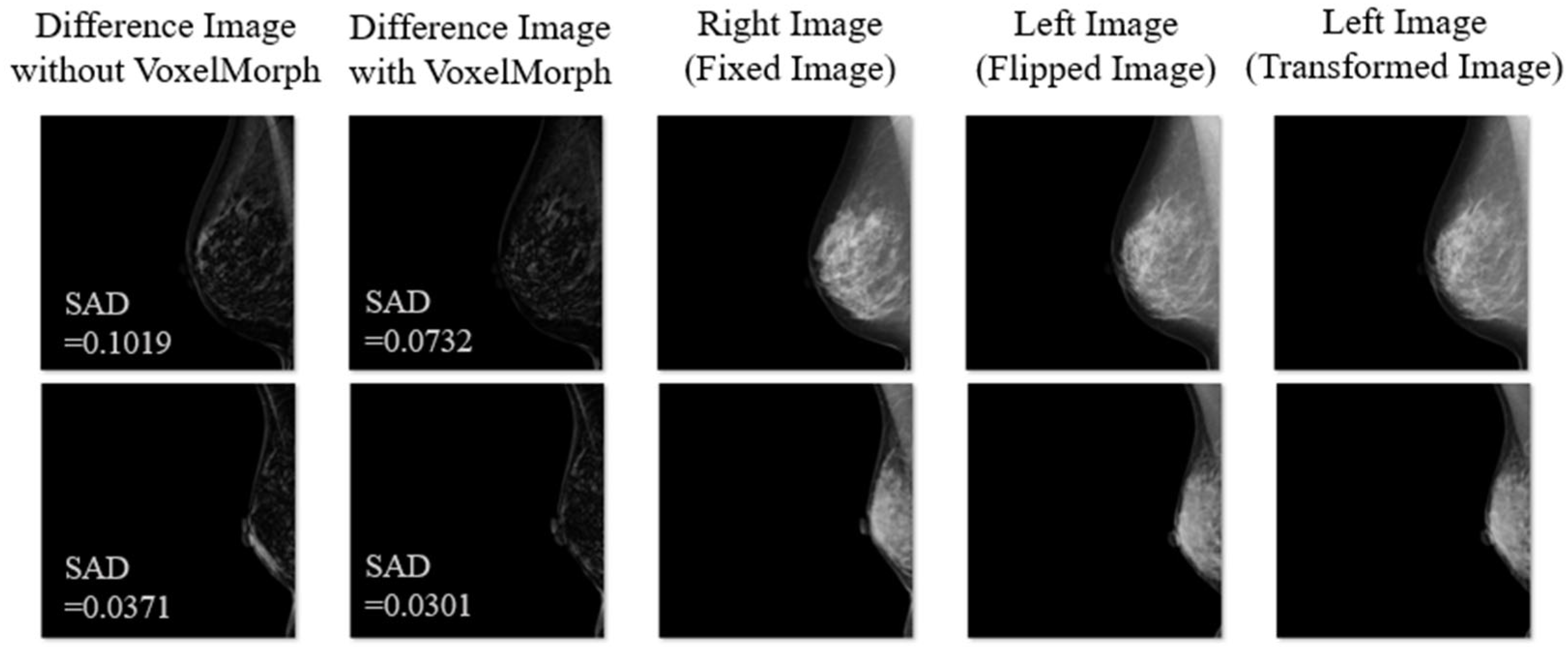 Diagnostics 14 01131 g003