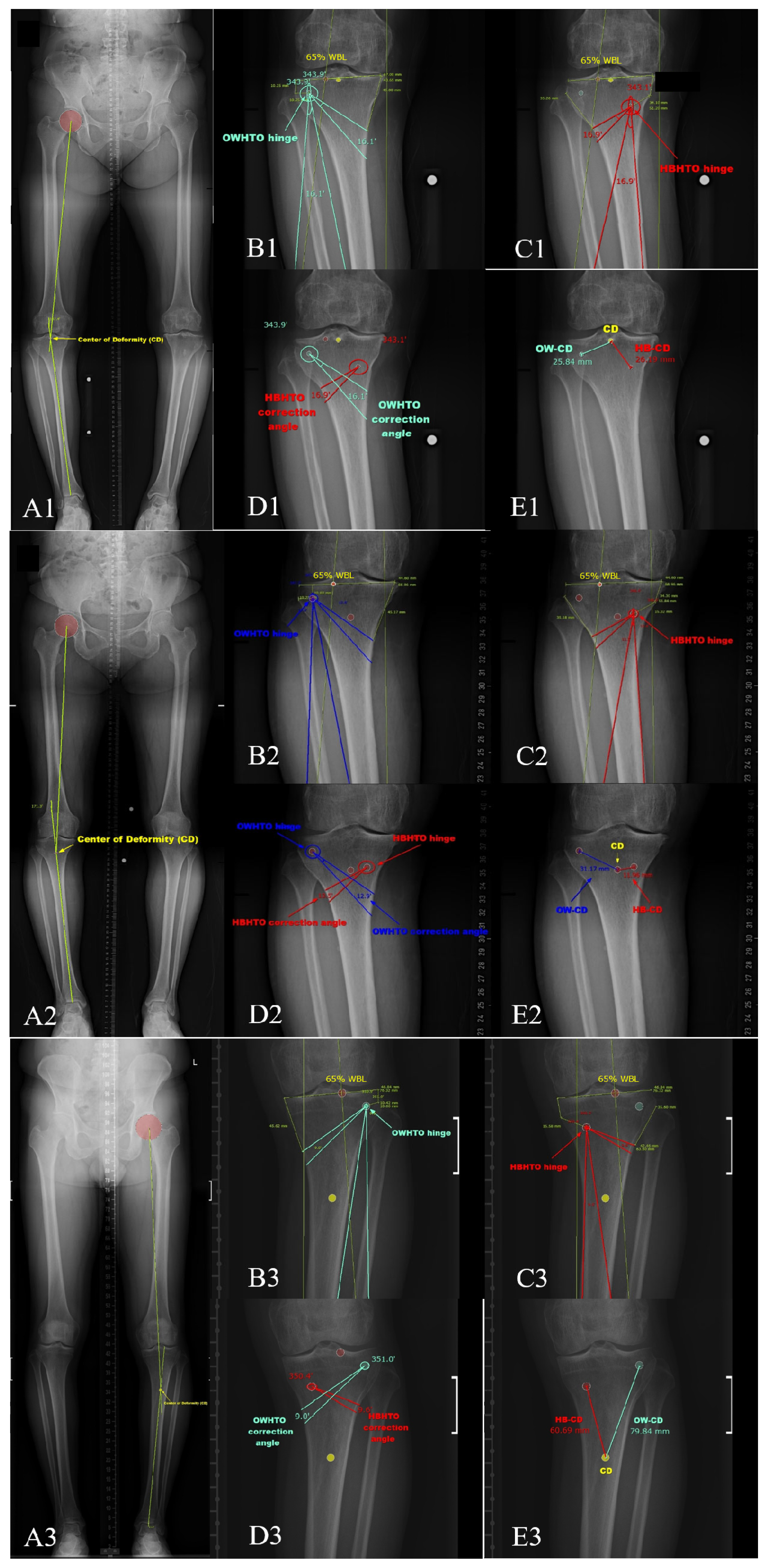 Diagnostics 14 01137 g002