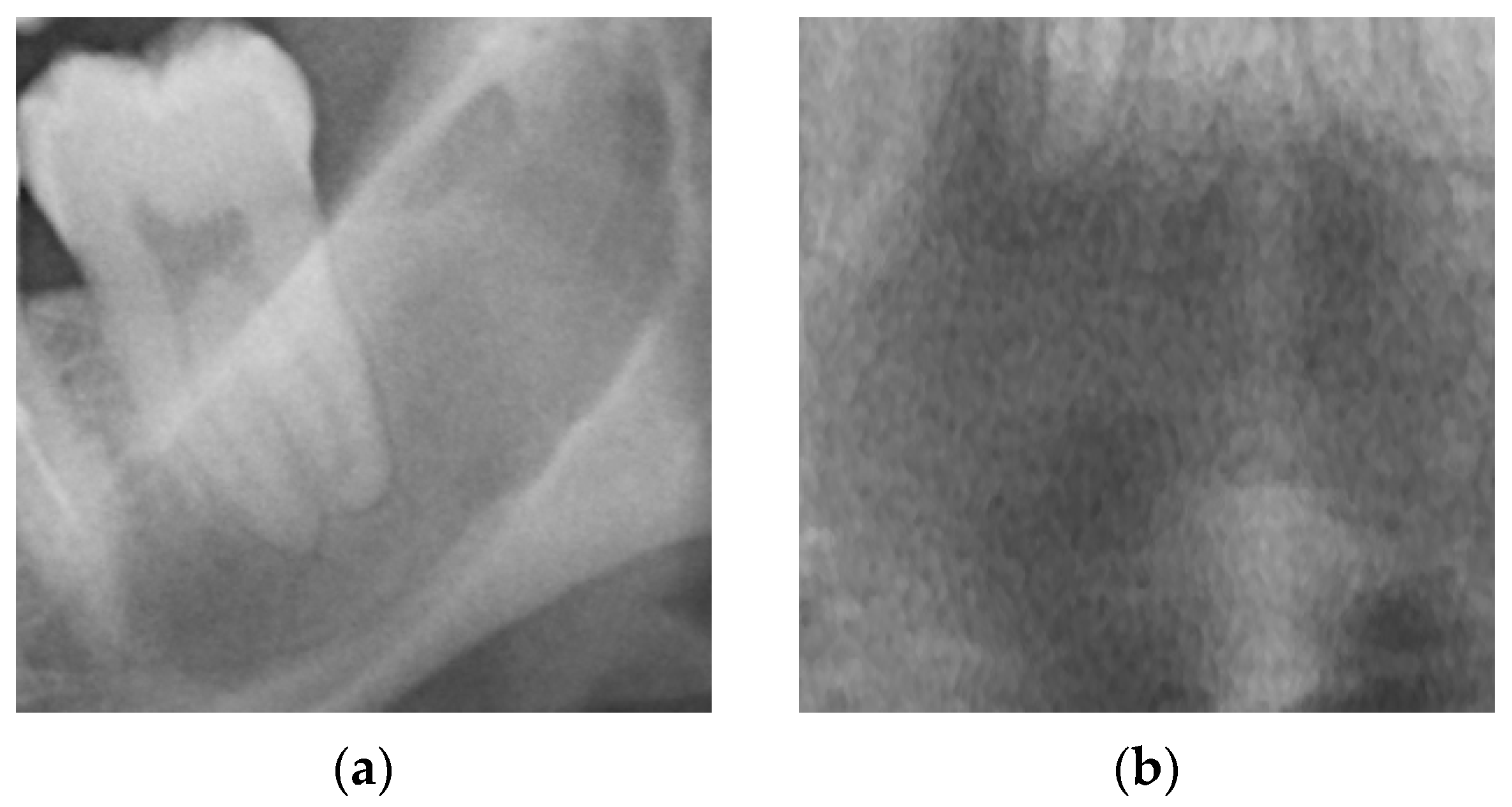 Diagnostics 14 01144 g002