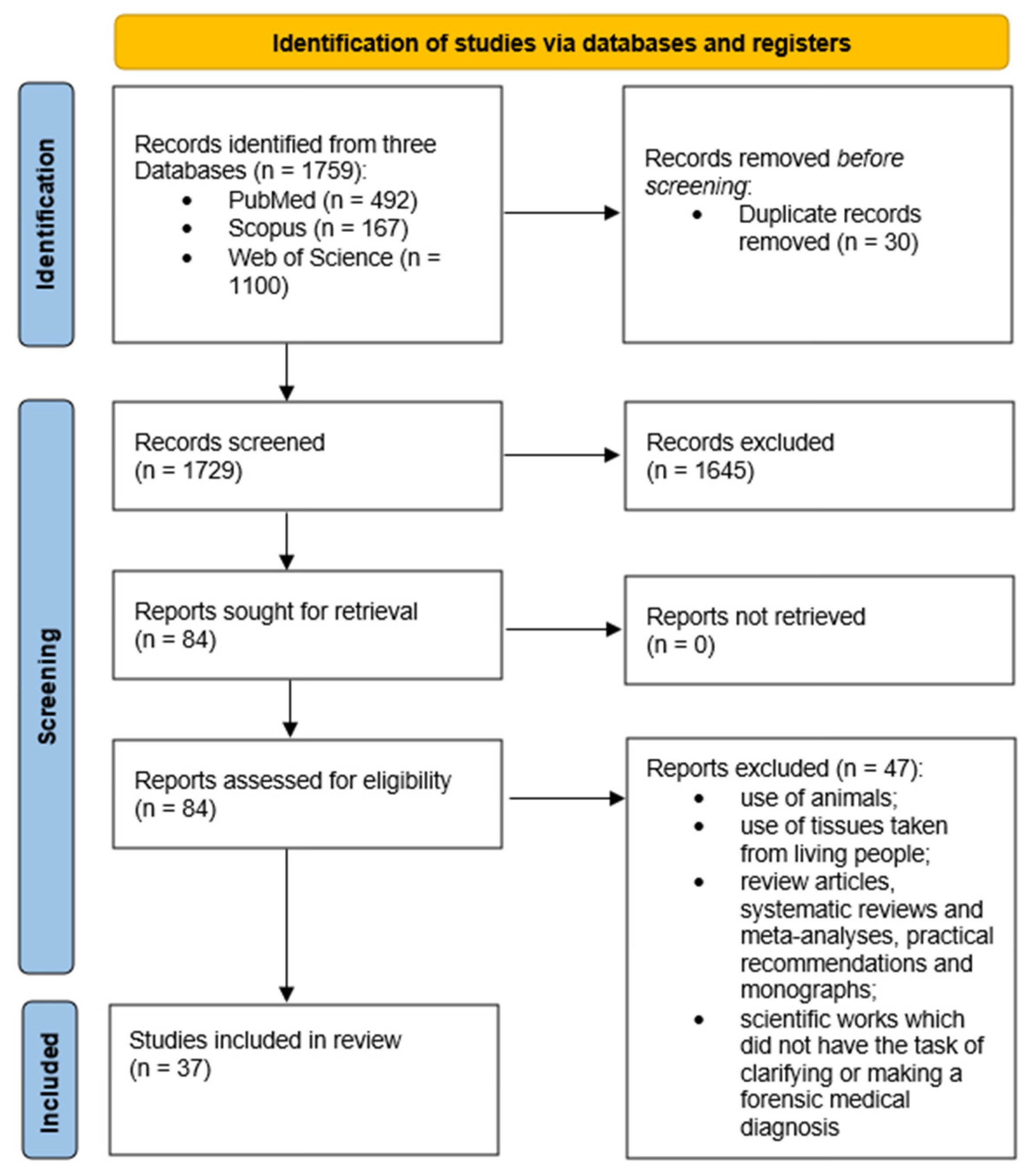 Diagnostics 14 01151 g001