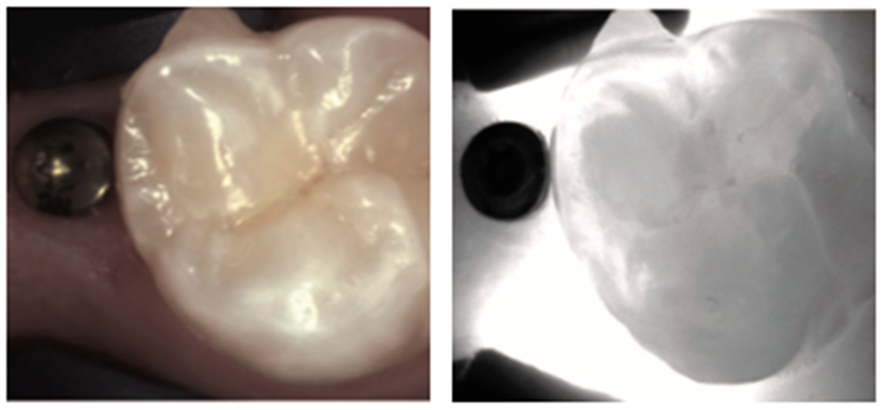 Diagnostics 14 01154 g020